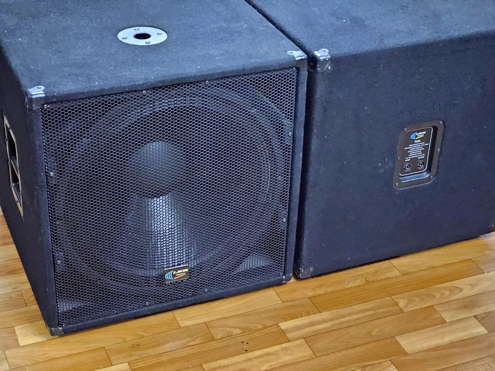 Пассивные сабвуферы LNM PROTECH TS21 (1 / 2)