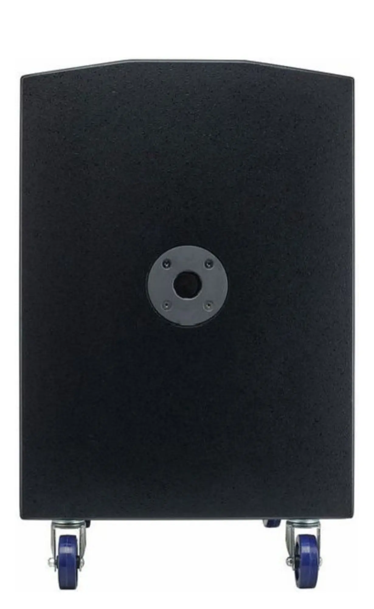 Активная акустическая система The box CL 108/115 MK ll. Колонки, Сабву (7 / 7)