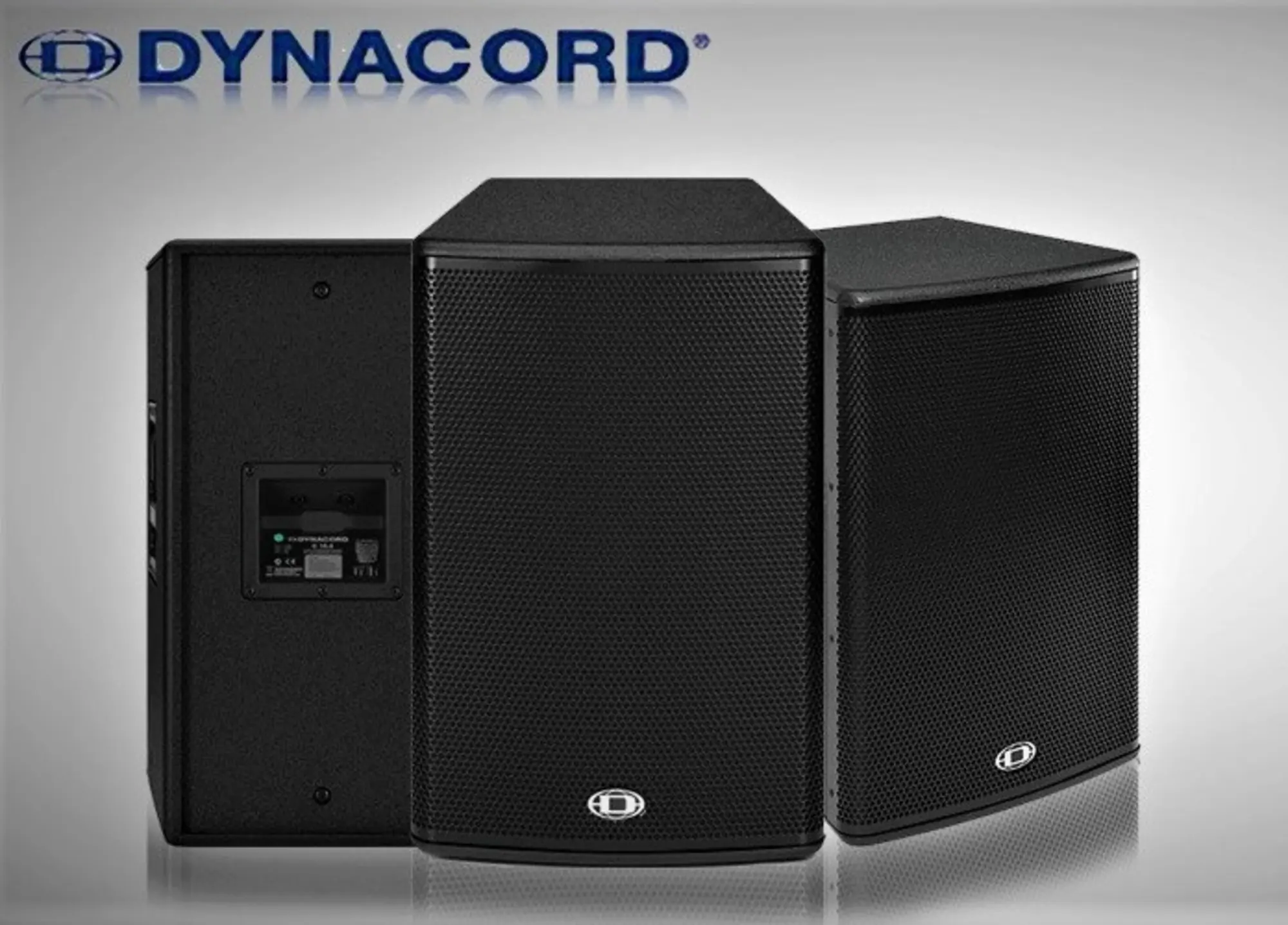DYNACORD C15.2 Пассивная акустическая система (3 / 3)