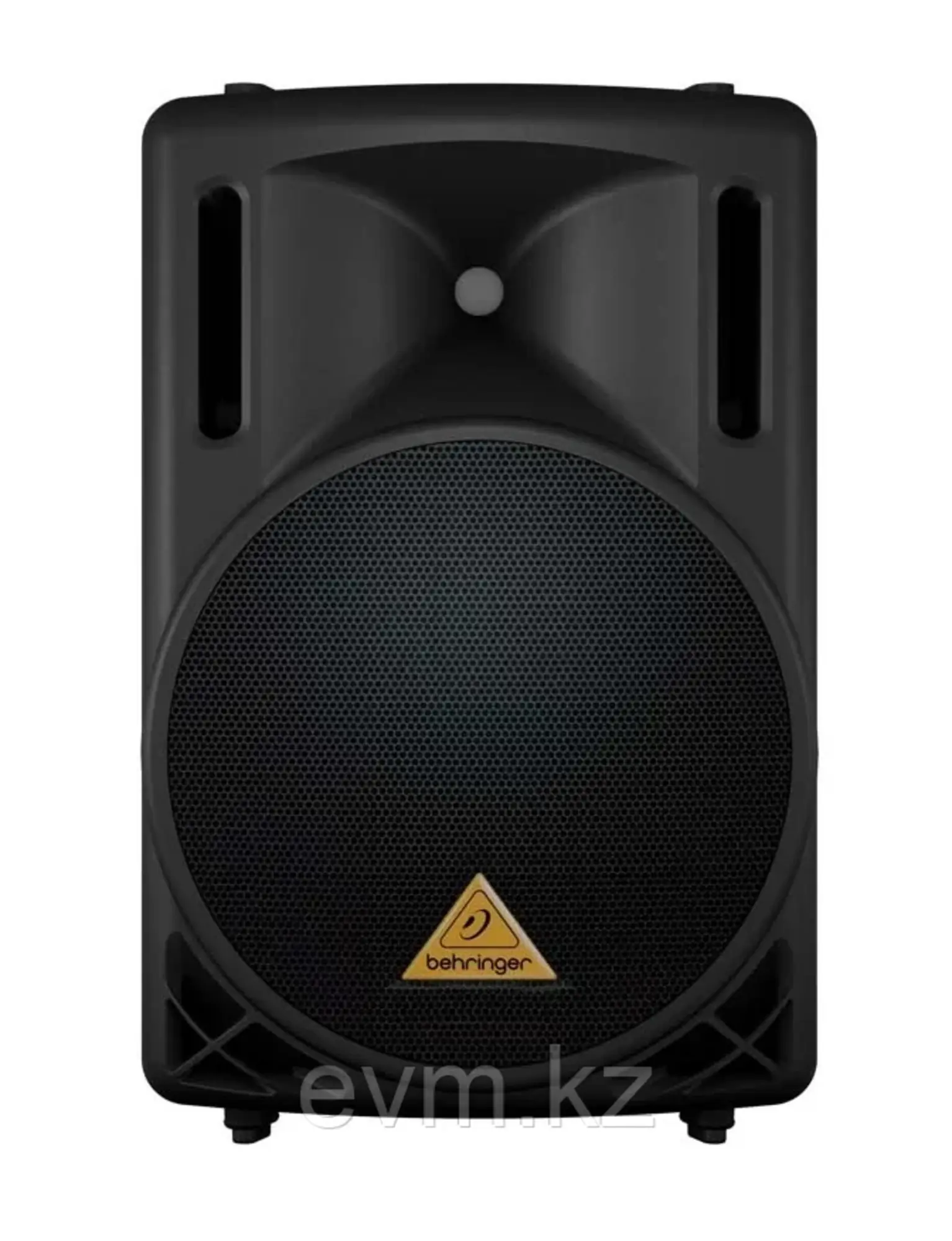 B212D активная акустическая система 550вт. (1 / 2)