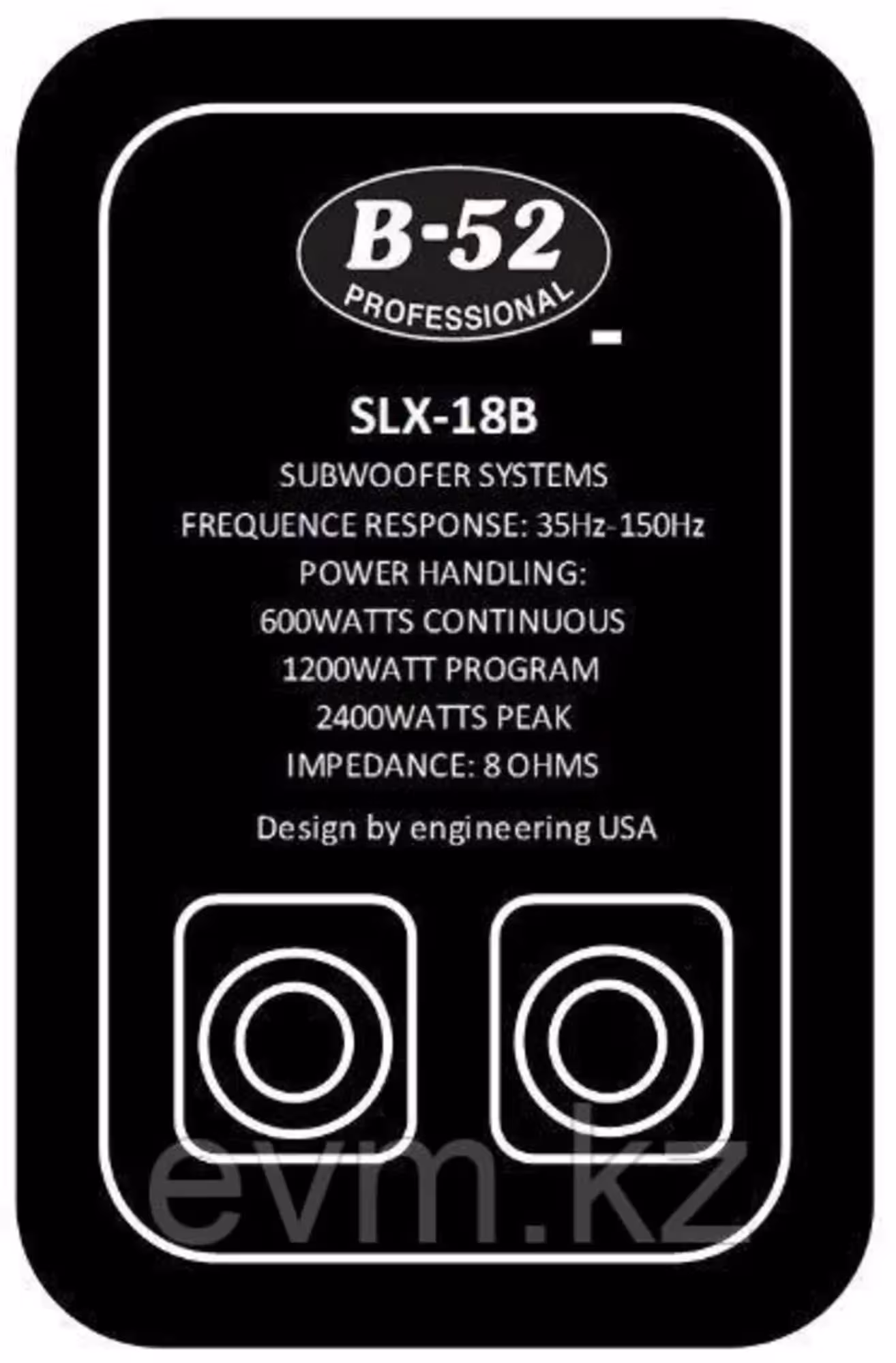 B-52 Professional SLX-18B Сабвуфер пассивный 600вт (2 / 2)