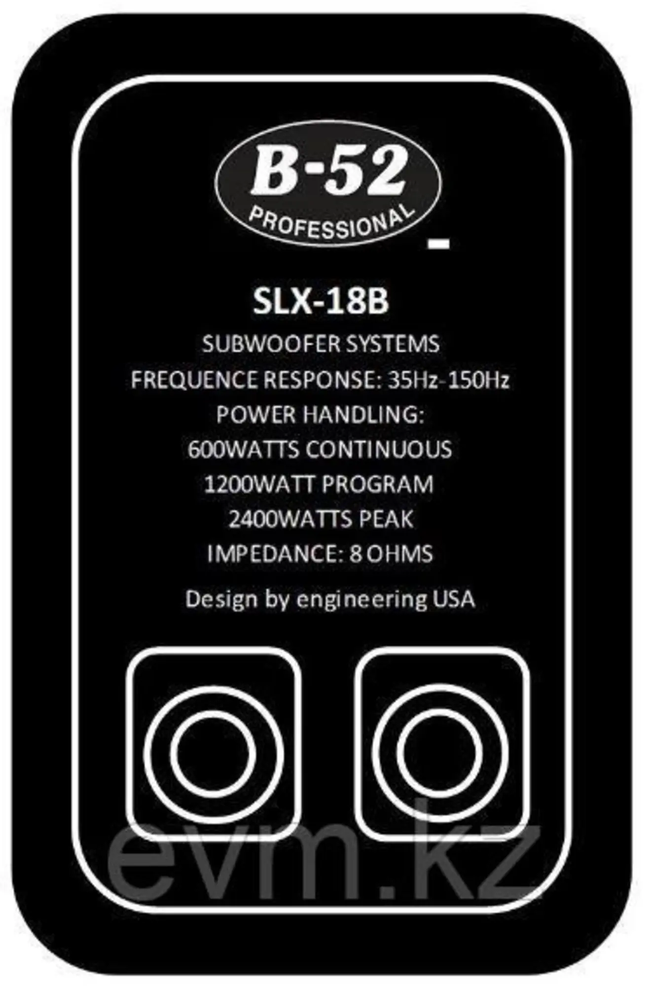 B-52 Professional SLX-18B Сабвуфер пассивный 600вт (2 / 2)