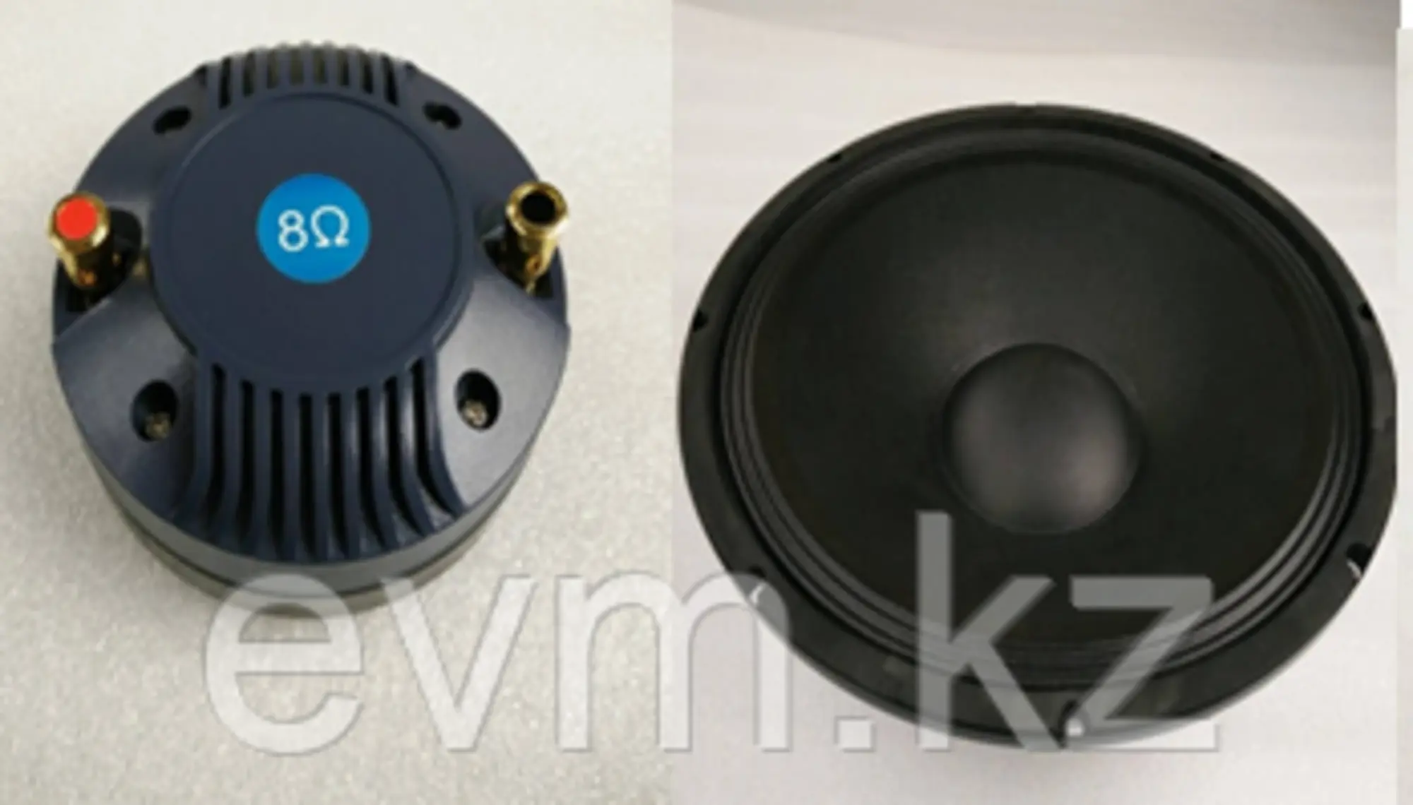 Акустическая система Lnm Protech TR15, 400вт (2 / 2)