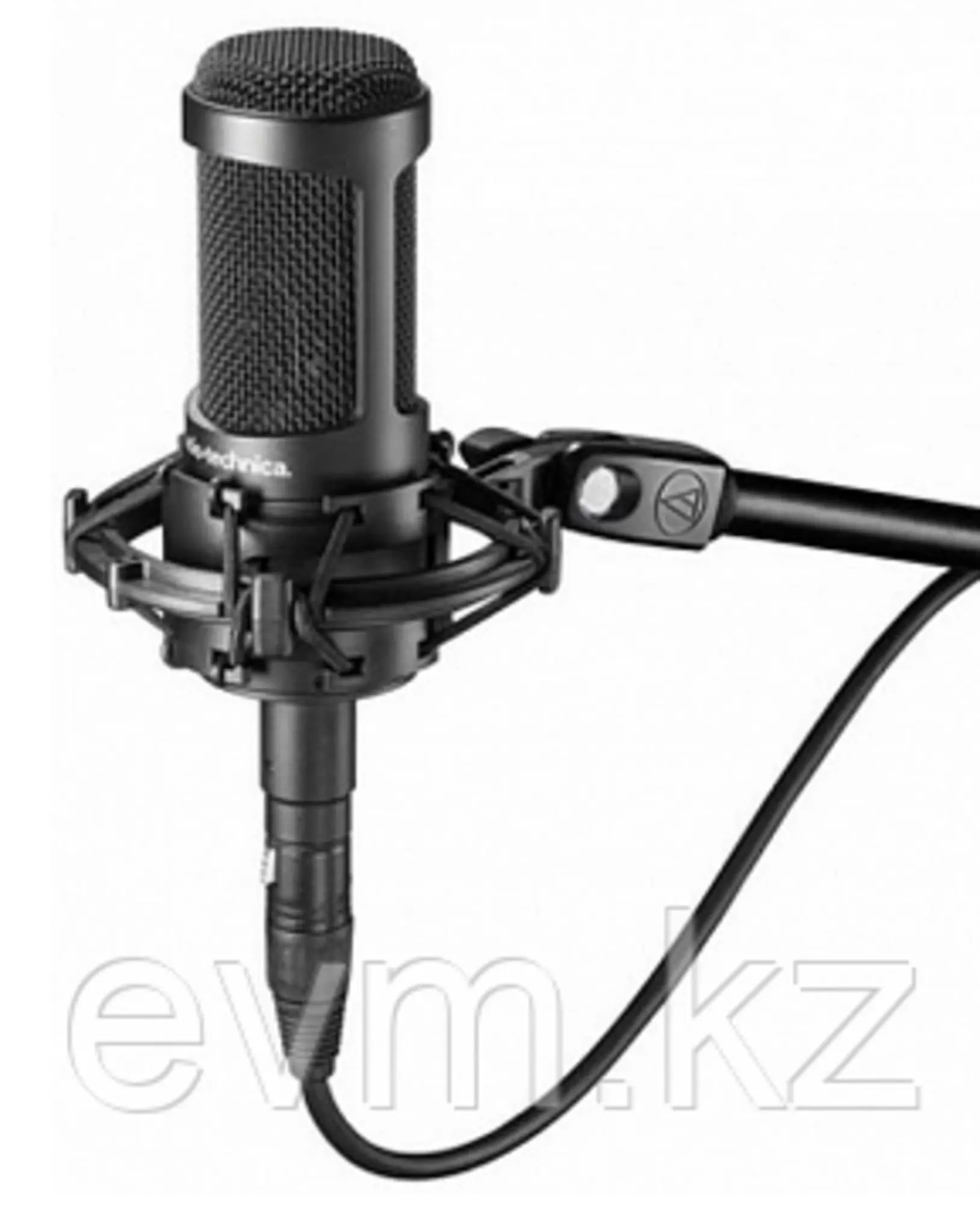Микрофон Audio-Technica AT2050 (1 / 2)