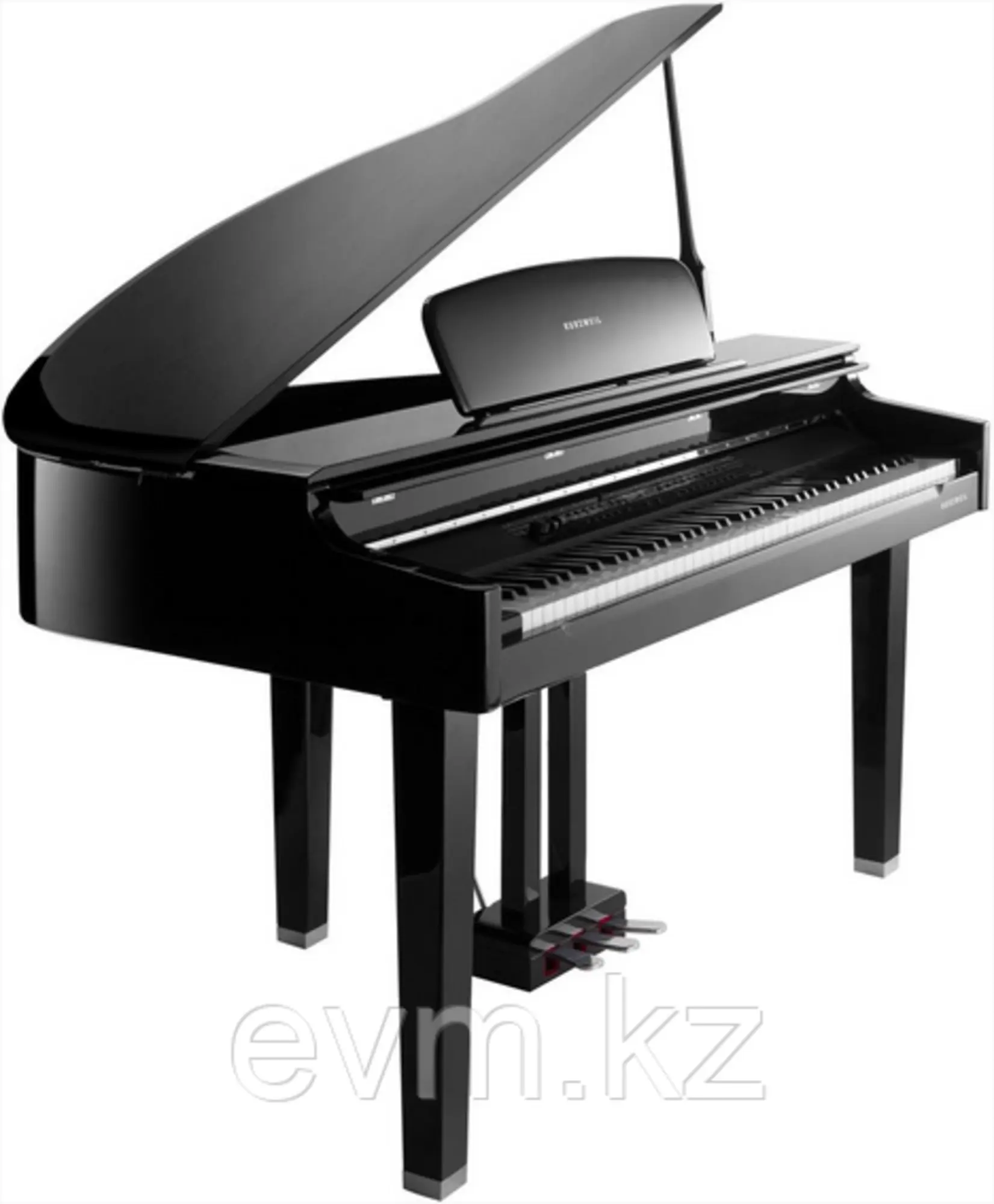 ЦИФРОВОЙ РОЯЛЬ KURZWEIL CGP220 (1 / 1)