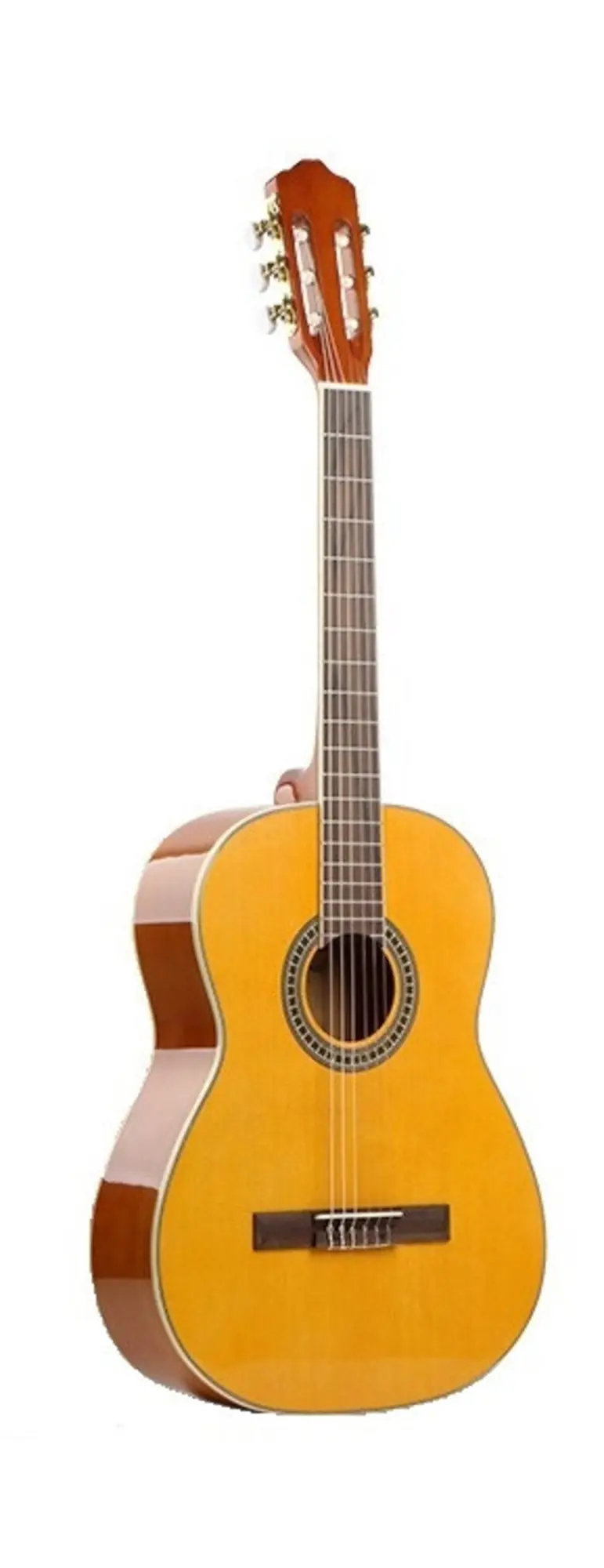 Гитара классическая Grape EC-310-39 YN (1 / 2)