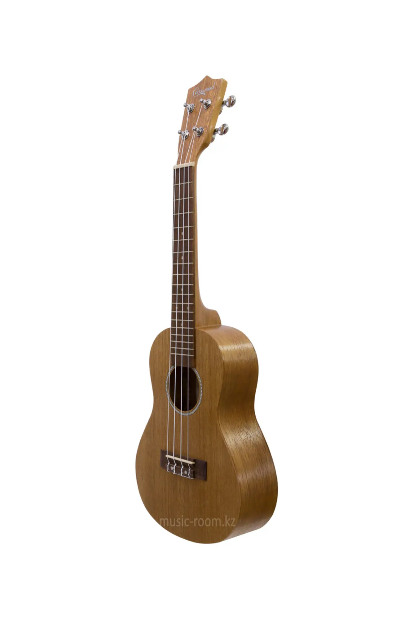 Укулеле концертное Canwood CU-23 MNS (1 / 2)