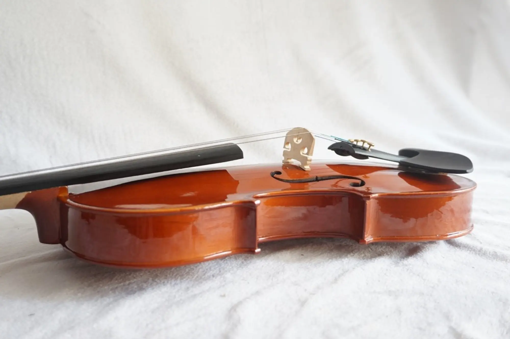 Скрипка Violin GVT150 4/4 массив ели и клена (3 / 7)