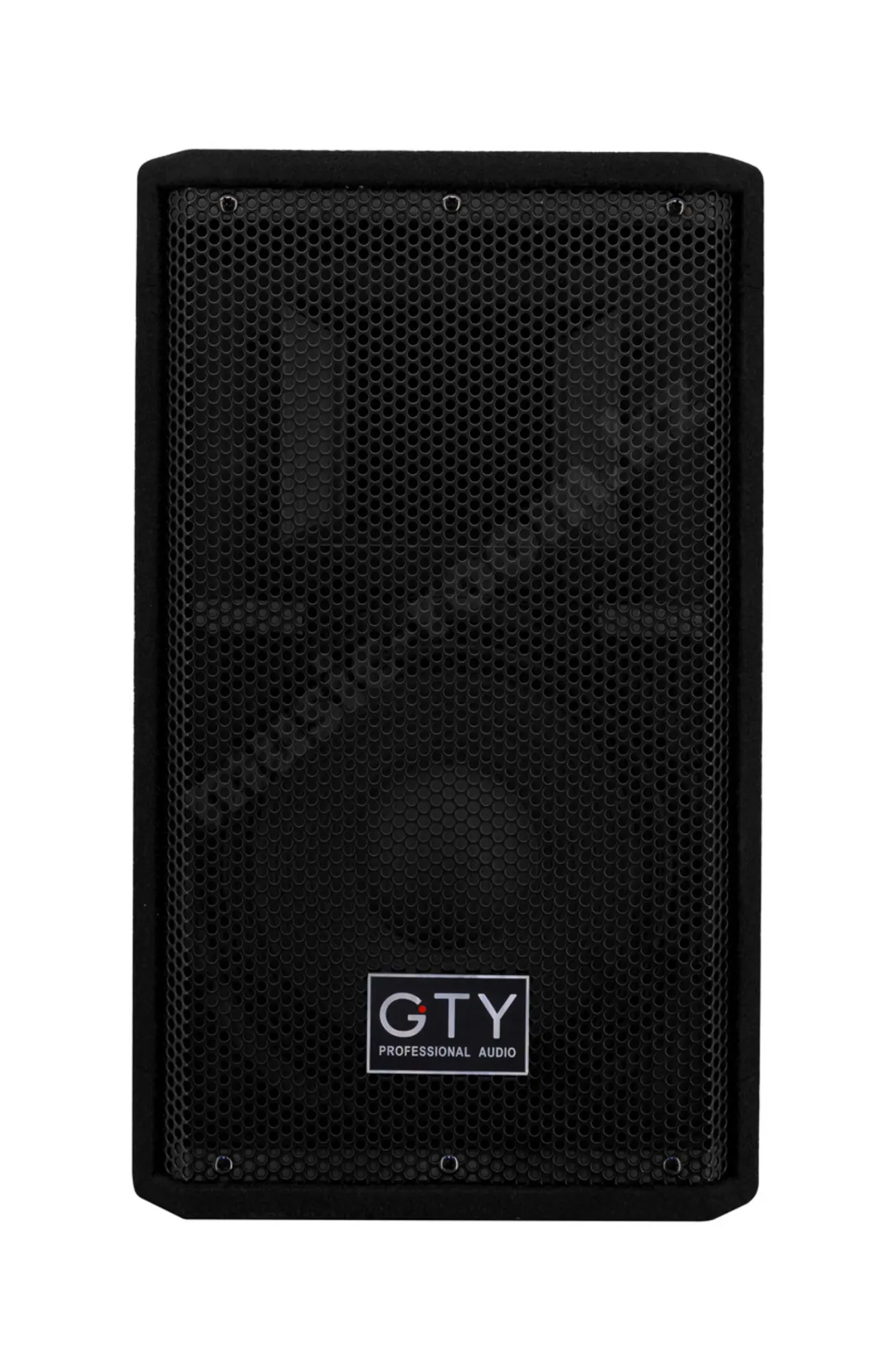 Пассивная акустическая система GTY G-10 (пара) (1 / 5)