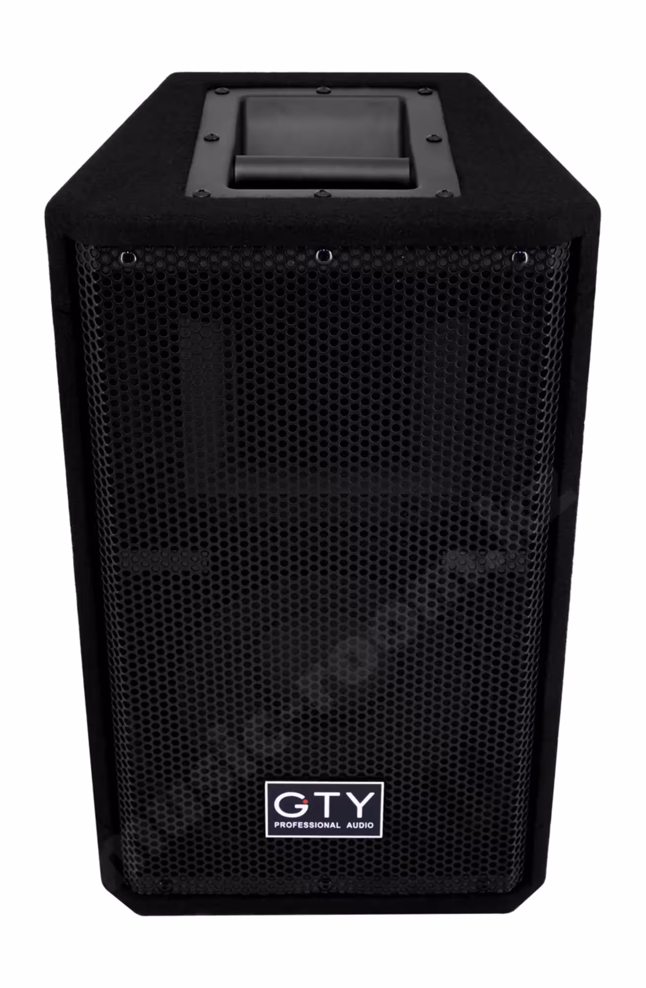 Пассивная акустическая система GTY G-10 (пара) (2 / 5)