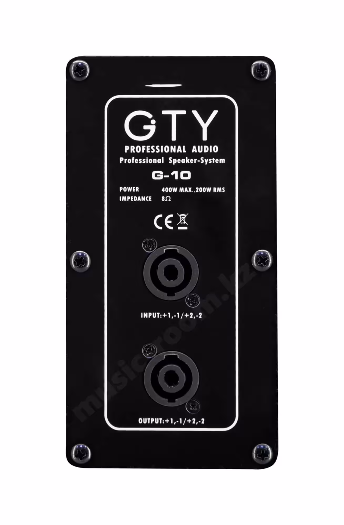 Пассивная акустическая система GTY G-10 (пара) (3 / 5)