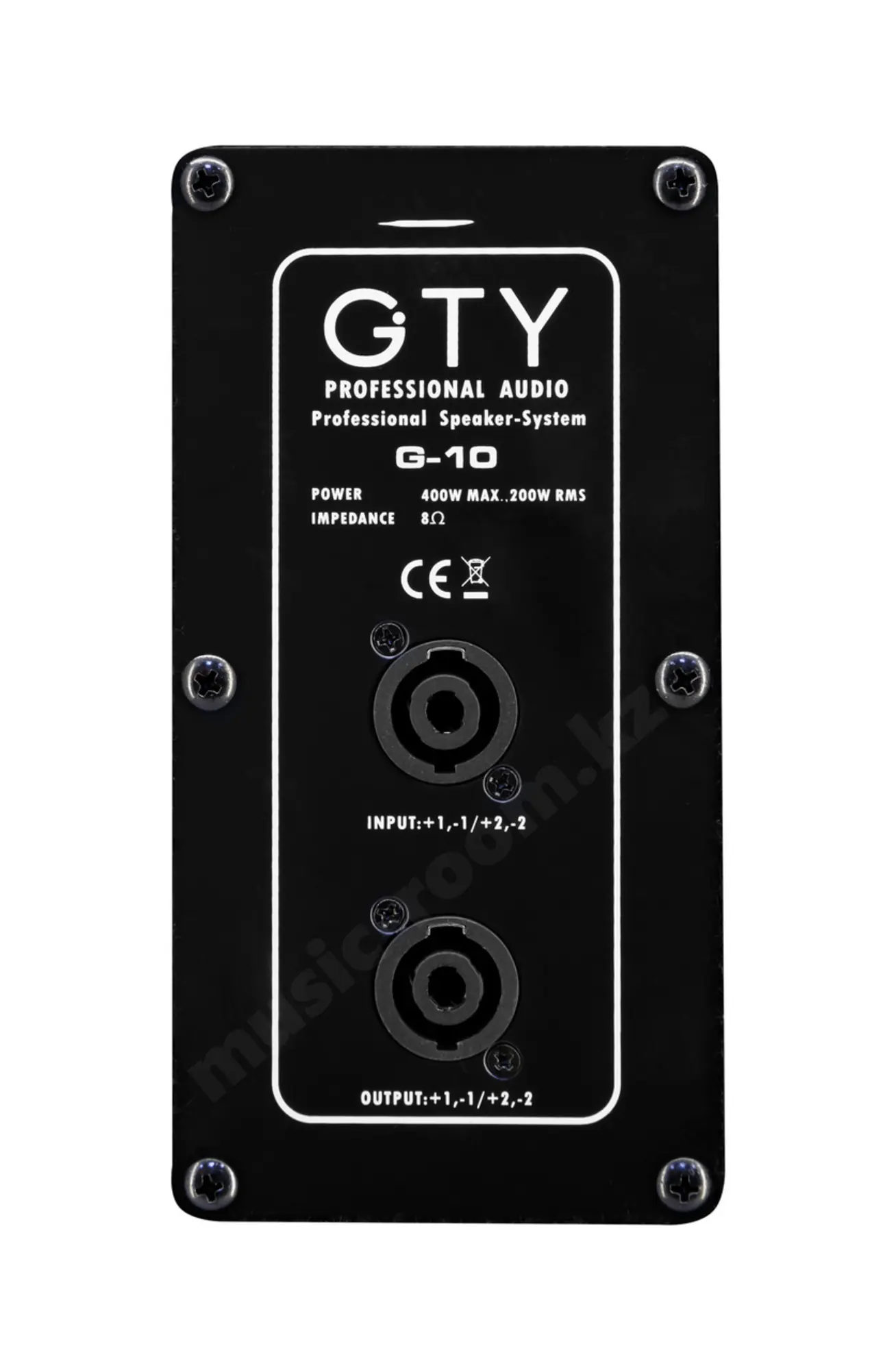 Пассивная акустическая система GTY G-10 (пара) (3 / 5)