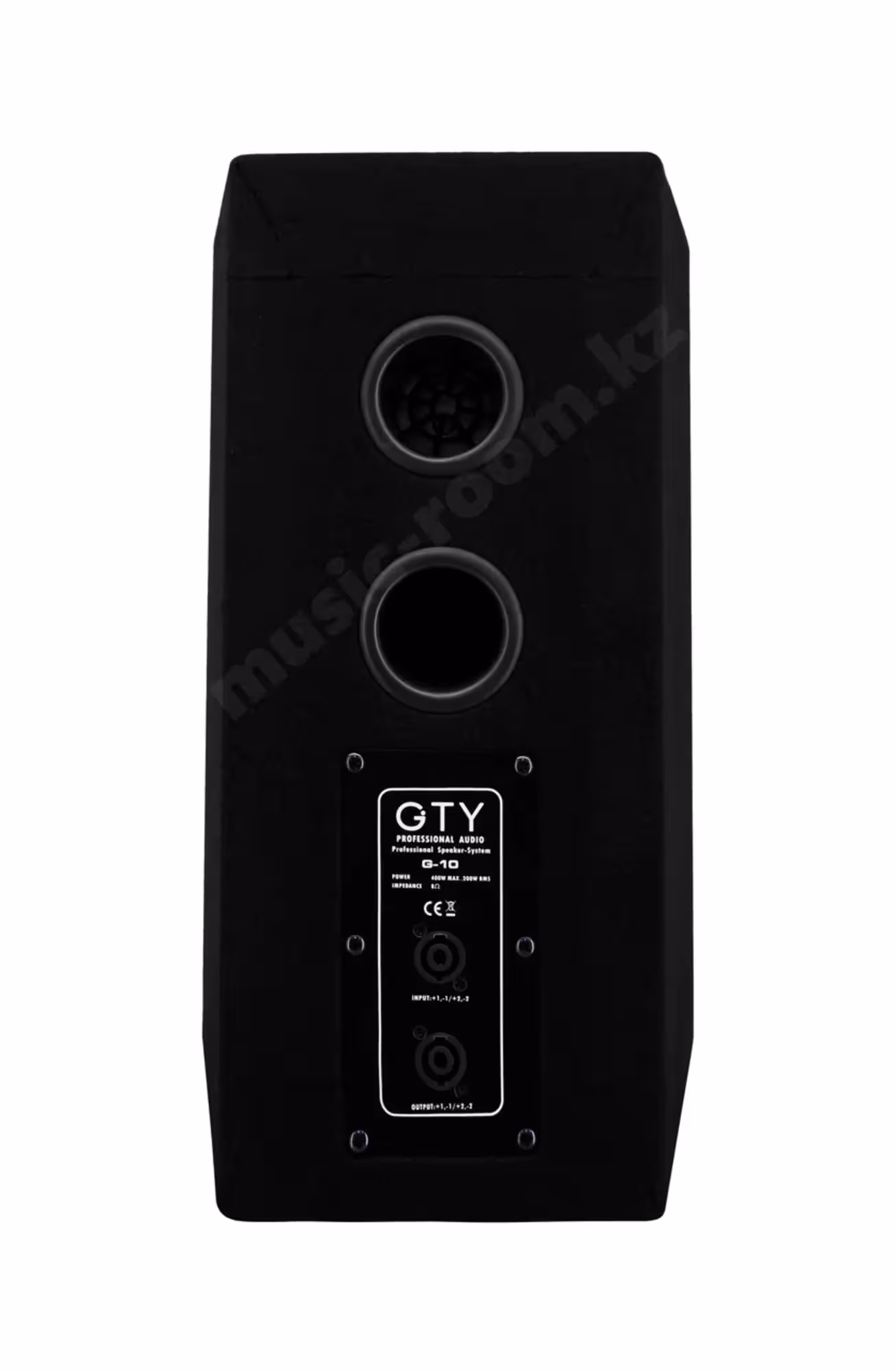 Пассивная акустическая система GTY G-10 (пара) (4 / 5)