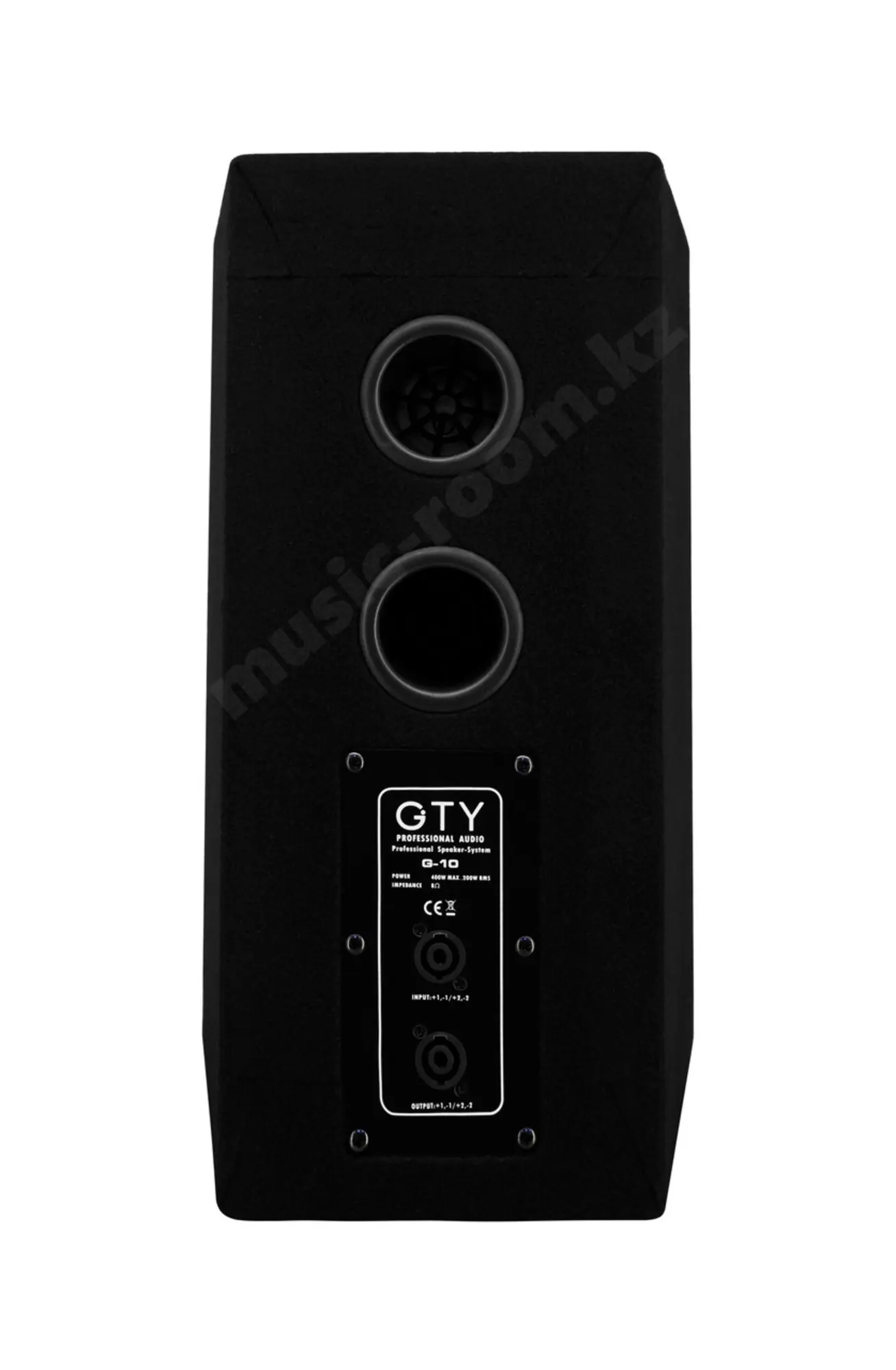 Пассивная акустическая система GTY G-10 (пара) (4 / 5)