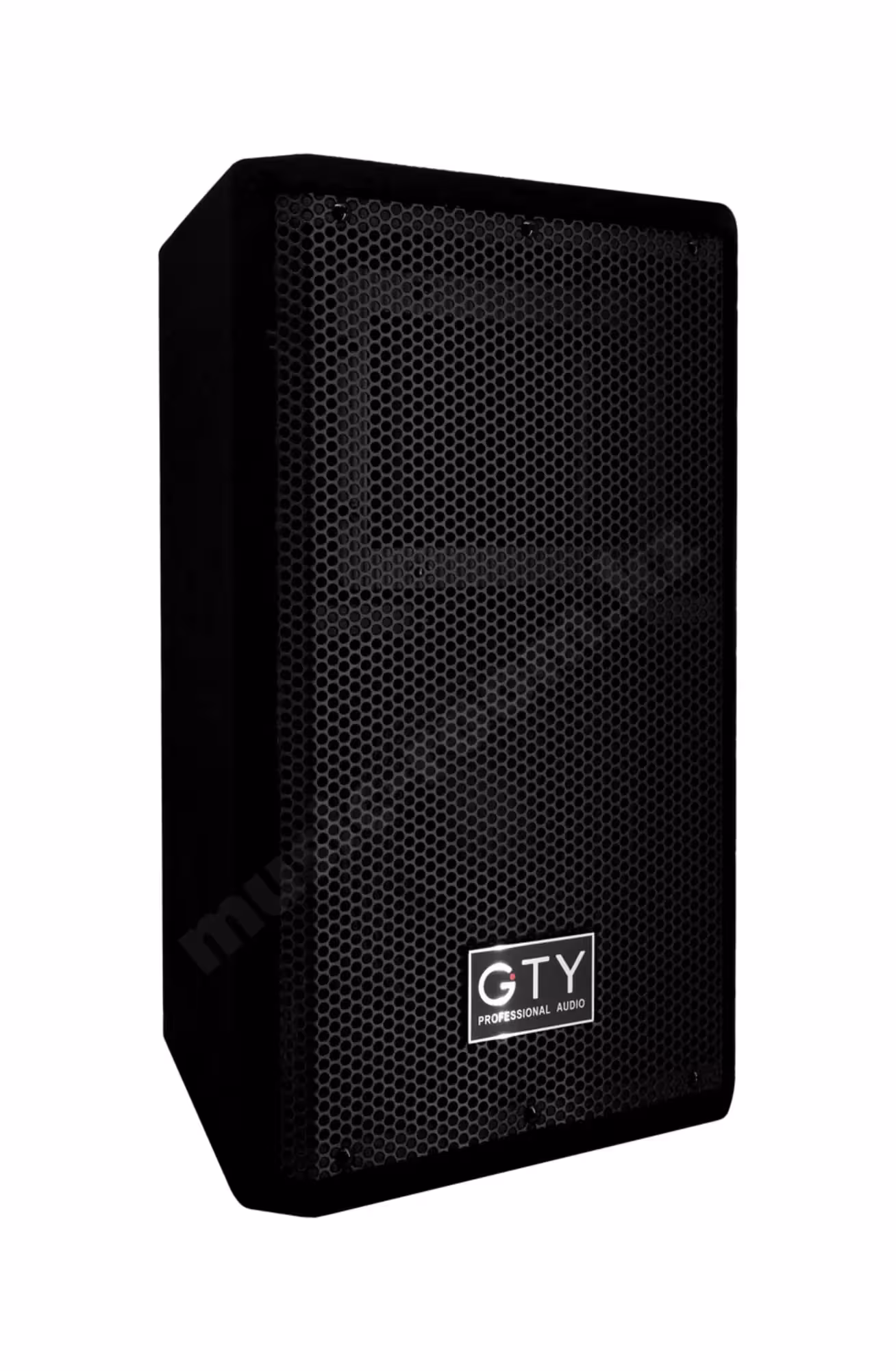 Пассивная акустическая система GTY G-10 (пара) (5 / 5)