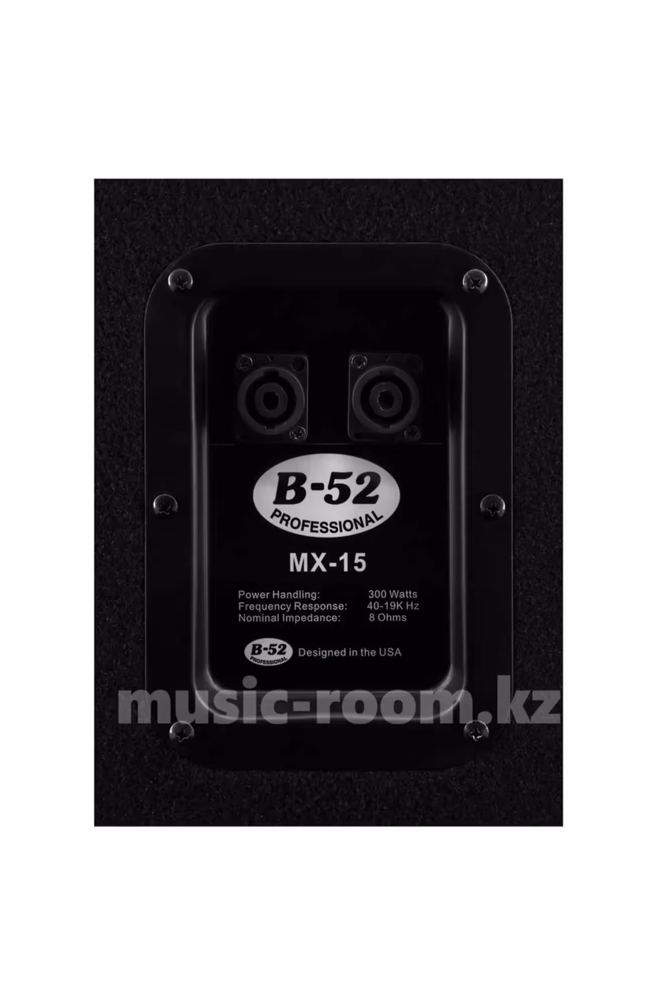 Двухполосная концертная акустическая система B-52 Professional MX-15 (3 / 3)