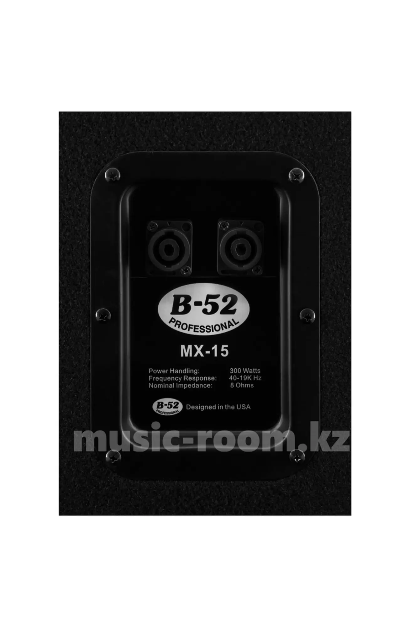Двухполосная концертная акустическая система B-52 Professional MX-15 (3 / 3)