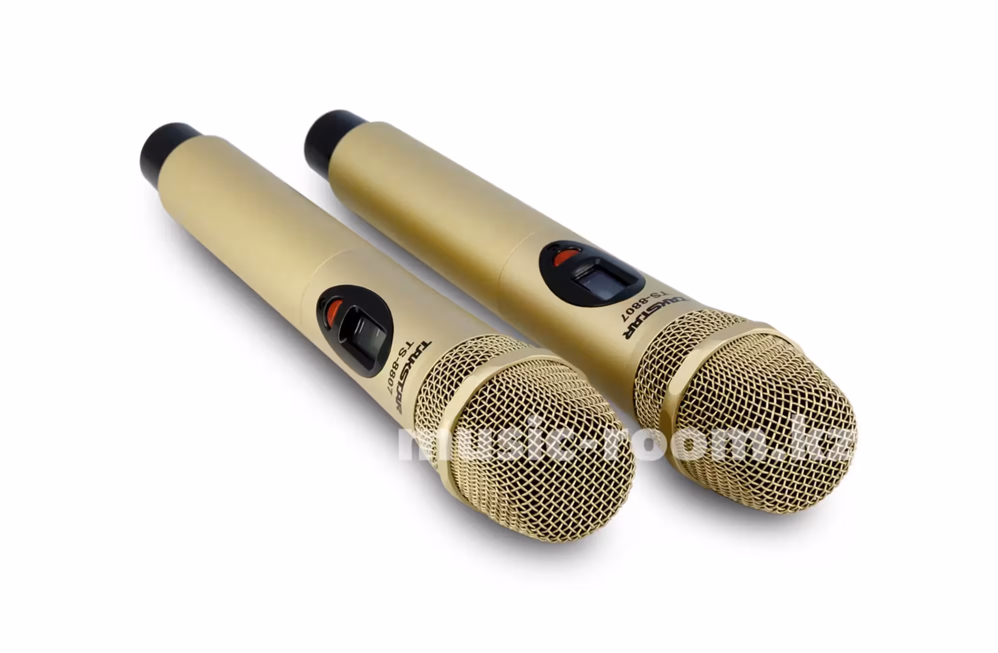 Микрофон Радио/двойной Takstar TS-8807 (1 / 1)