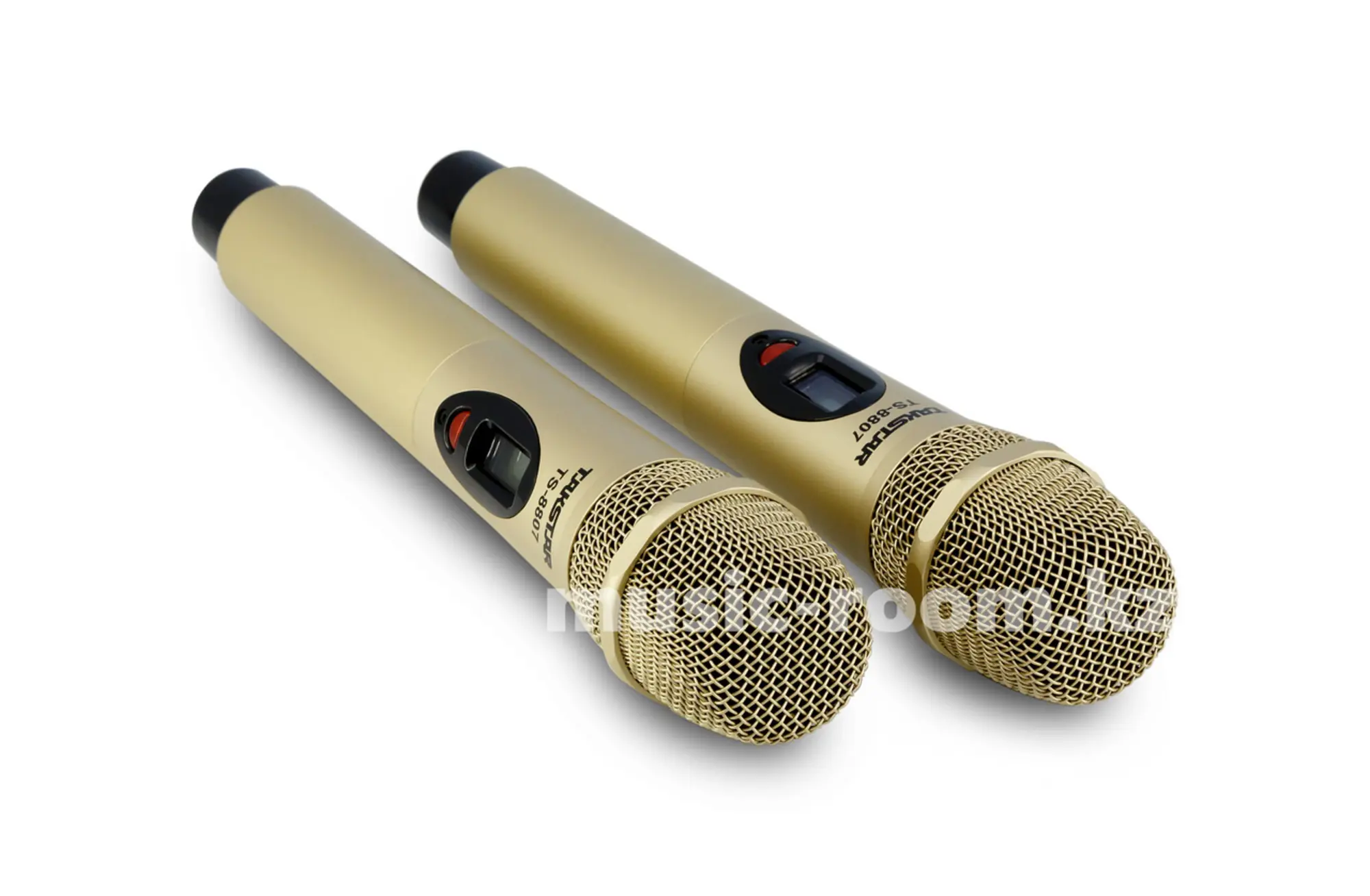 Микрофон Радио/двойной Takstar TS-8807 (1 / 1)