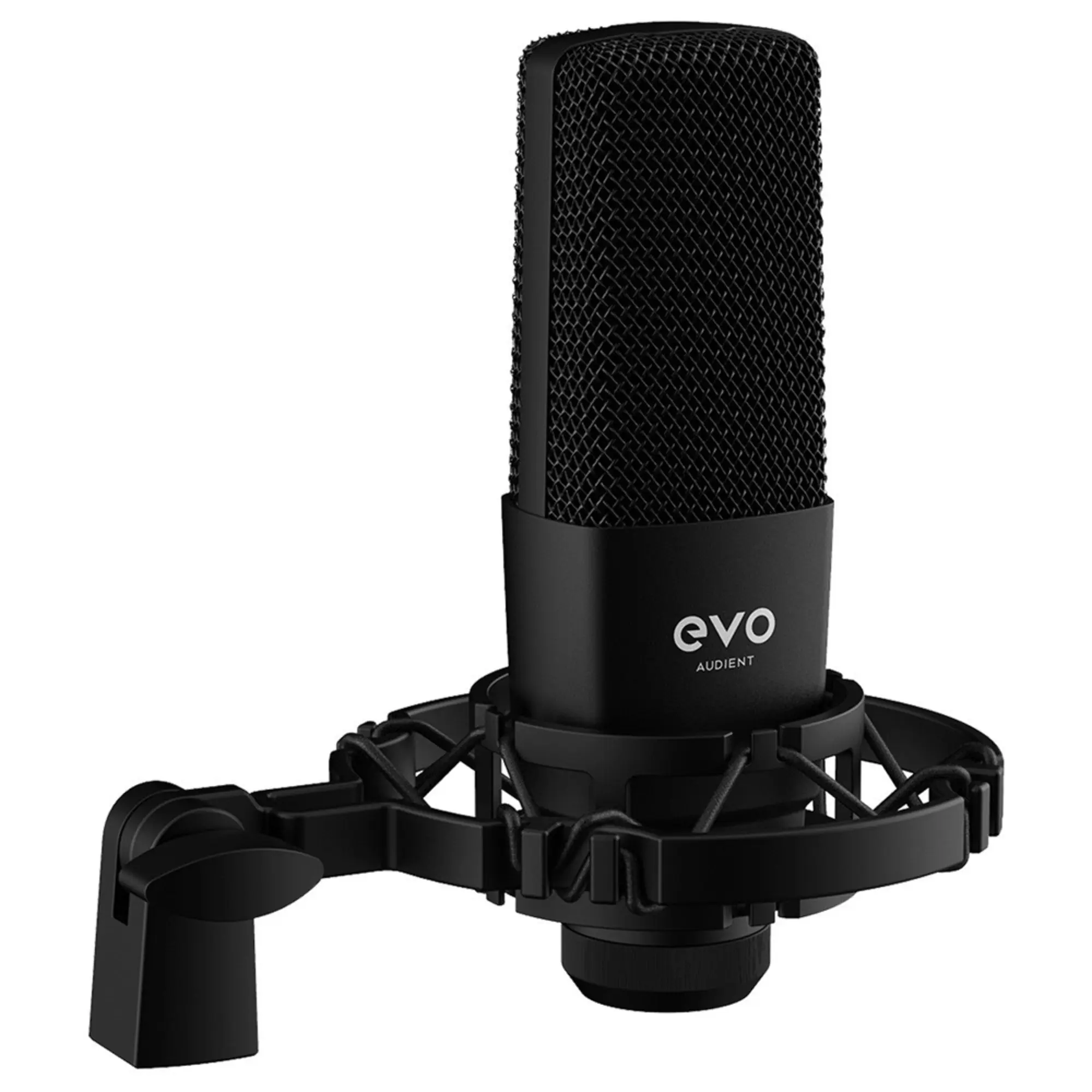 Комплект для звукозаписи Audient EVO4SRB (5 / 6)