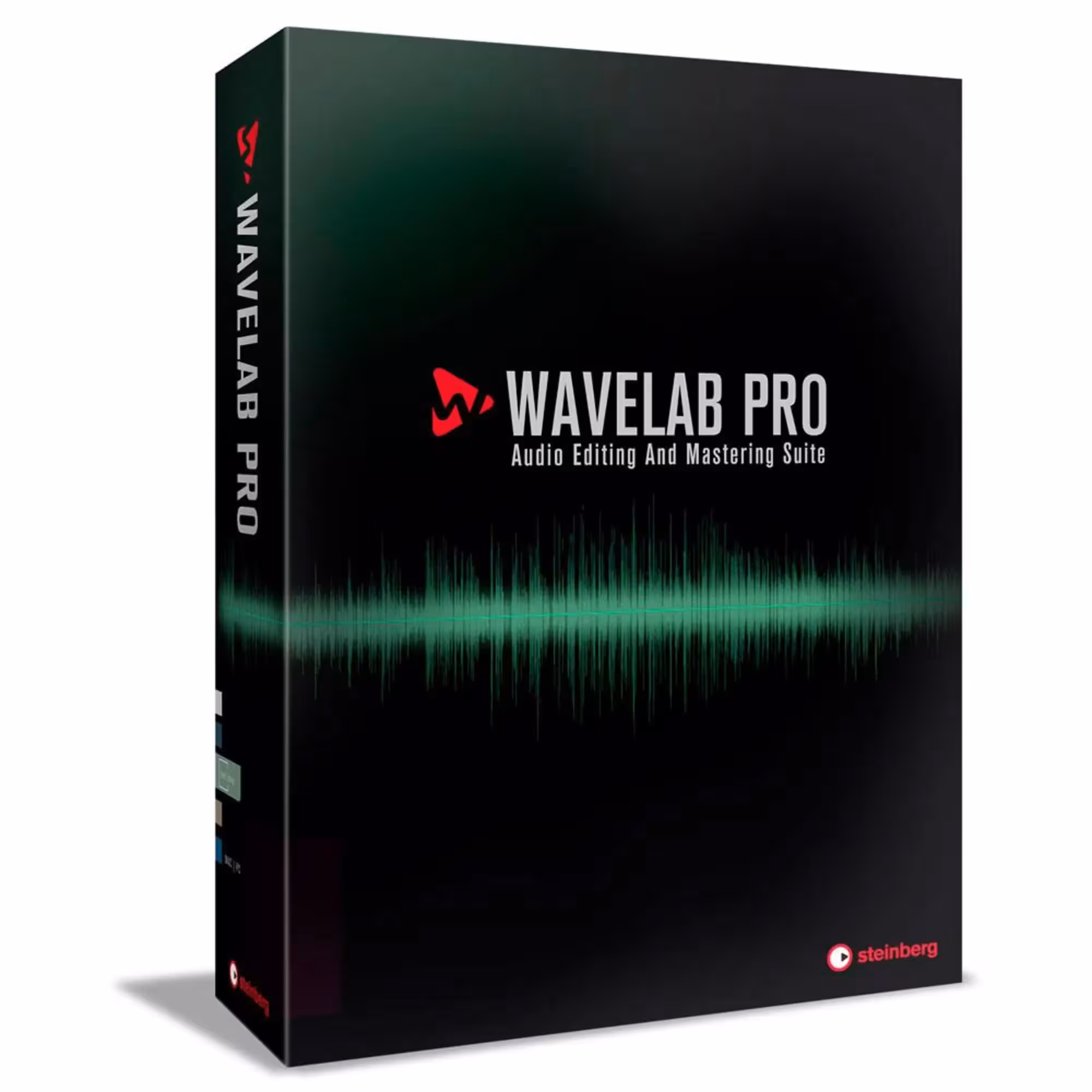 Программное обеспечение Steinberg WaveLab Pro EE (1 / 1)