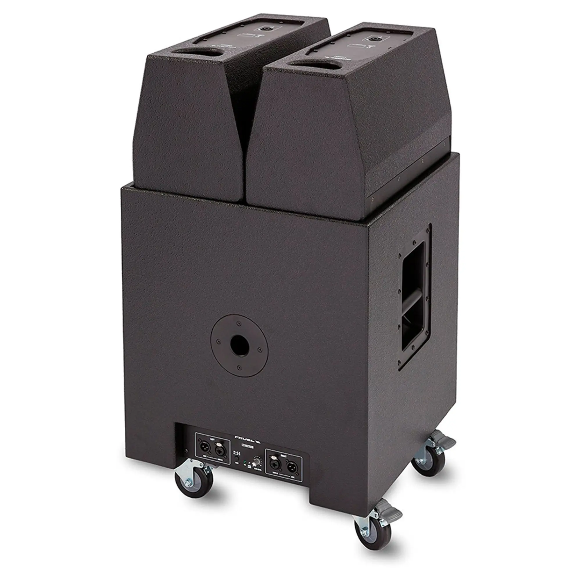 Акустический комплект Proel LT812A (5 / 9)