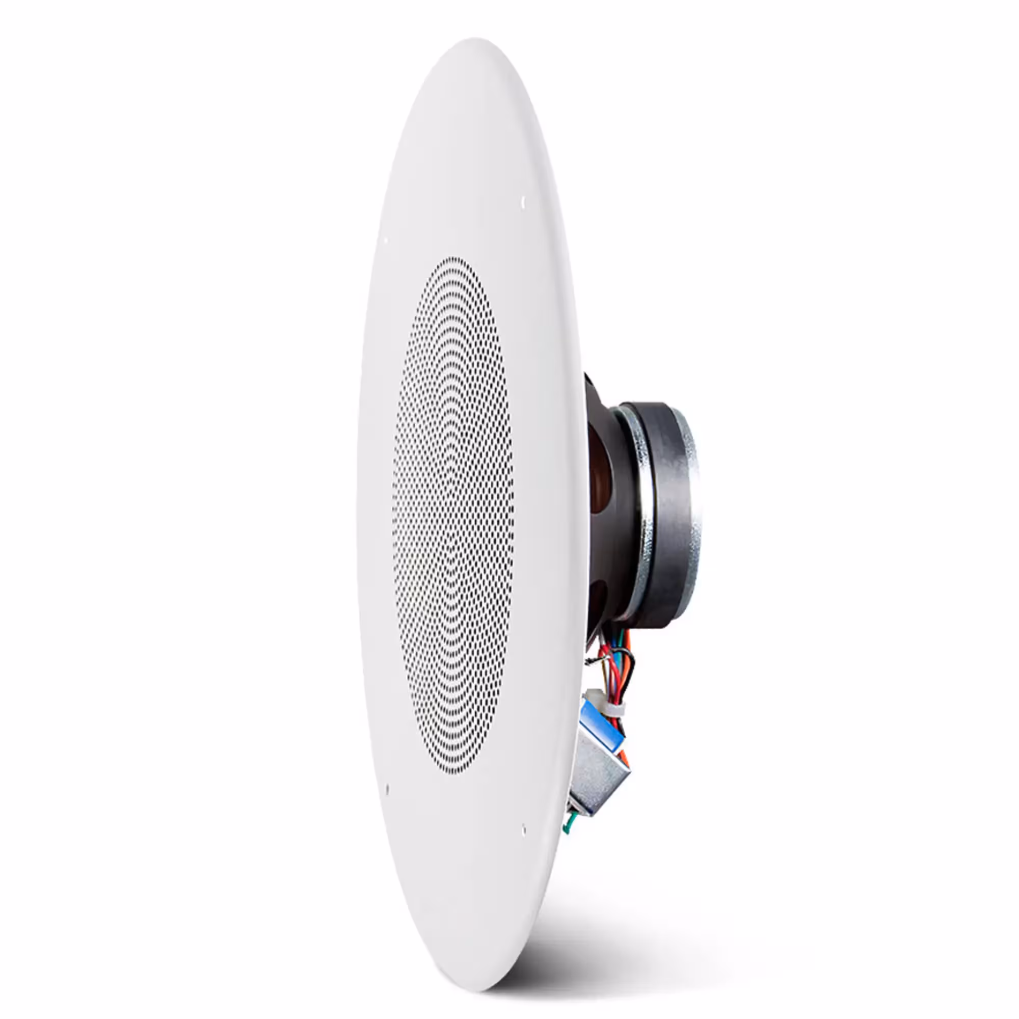 Потолочный громкоговоритель JBL CSS8018 (3 / 3)