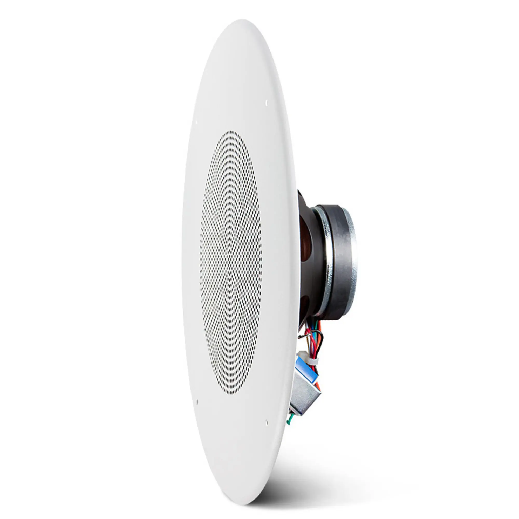 Потолочный громкоговоритель JBL CSS8018 (3 / 3)
