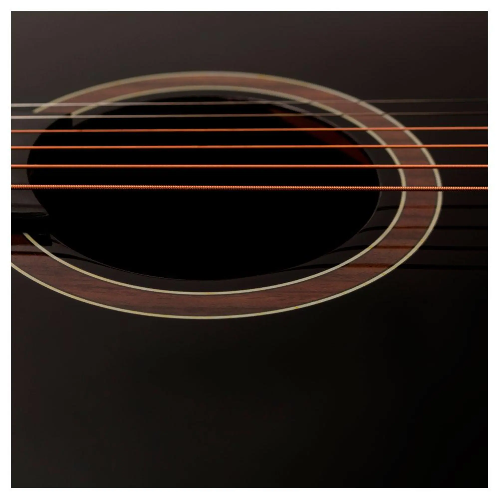 Акустическая гитара Rockdale Aurora D5 BKGLB (5 / 5)
