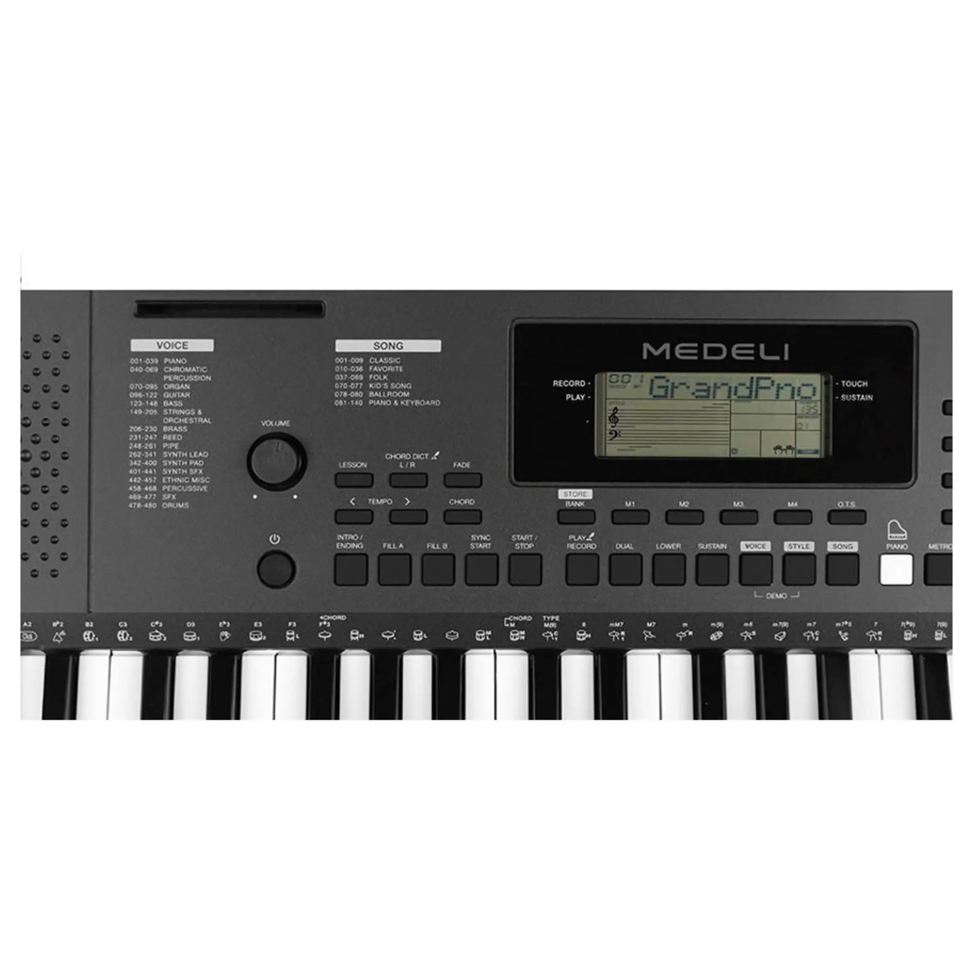 Синтезатор Medeli MK100 (5 / 7)