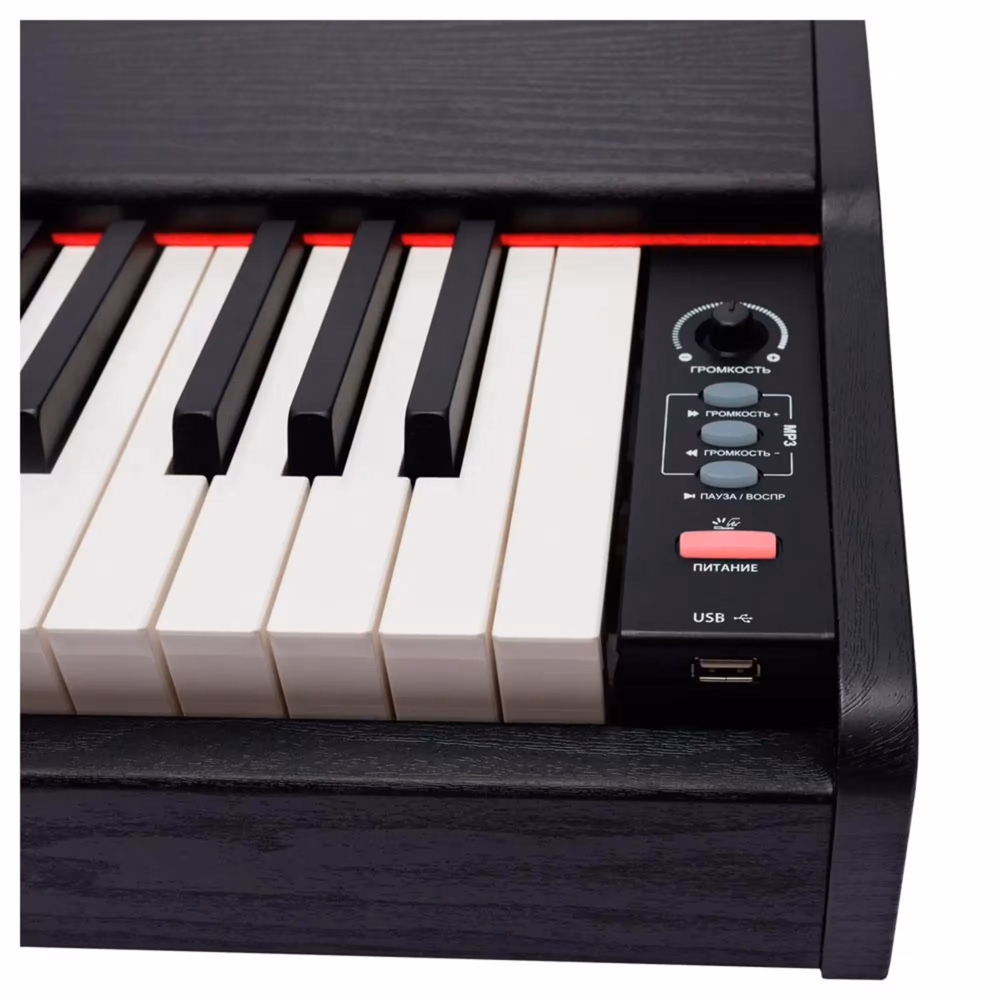 Цифровое пианино Rockdale Keys RDP-1088 (6 / 8)