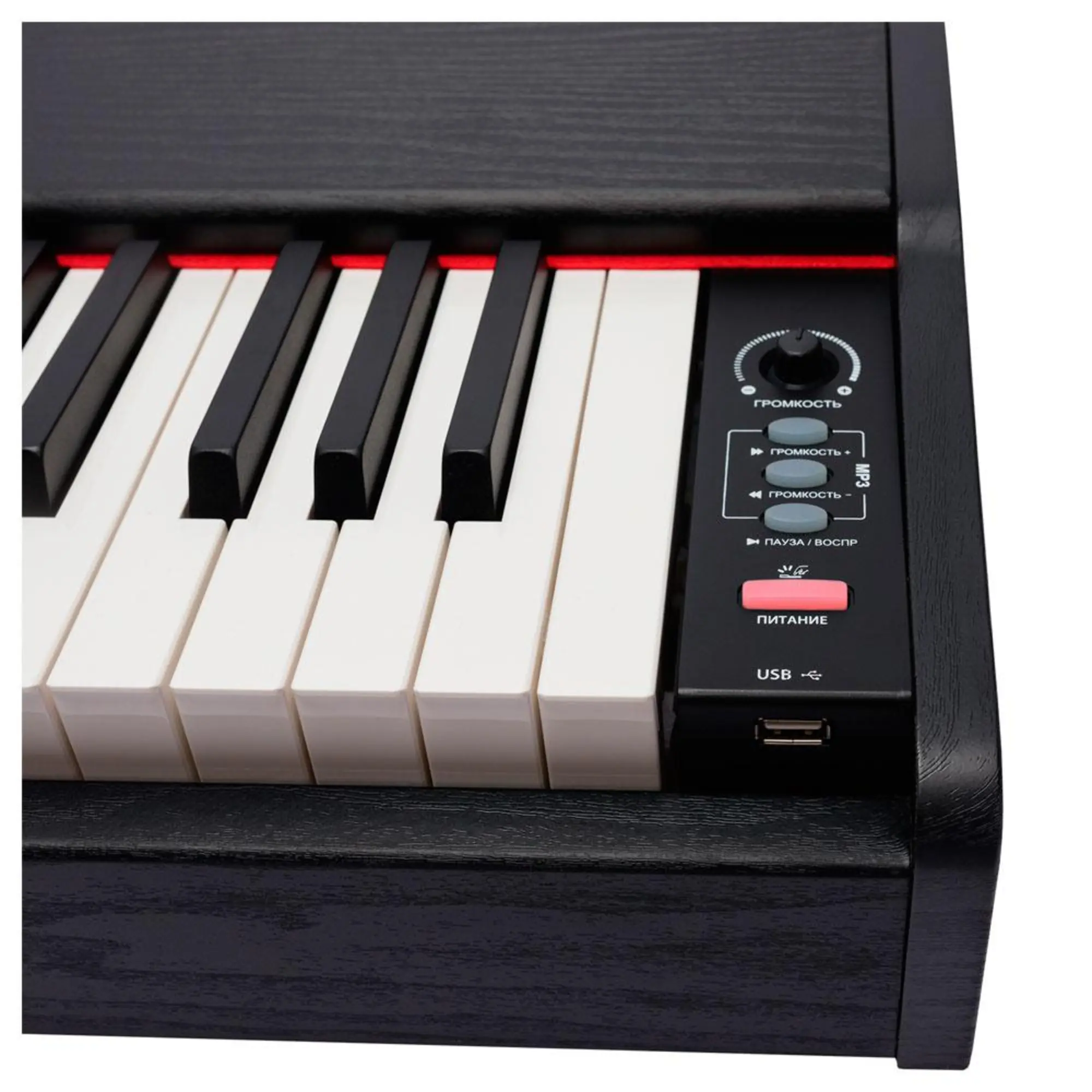 Цифровое пианино Rockdale Keys RDP-1088 (6 / 8)