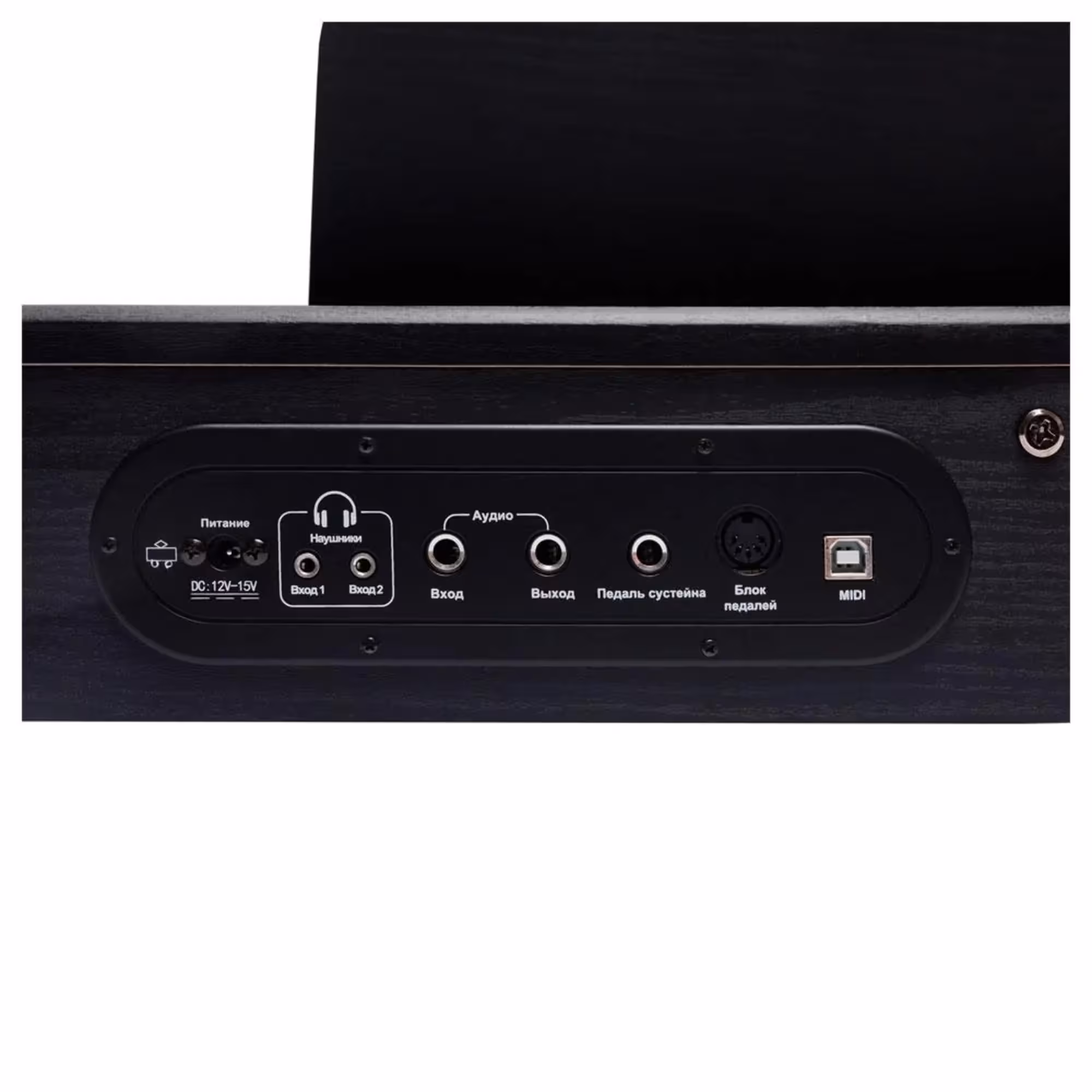 Цифровое пианино Rockdale Keys RDP-1088 (7 / 8)