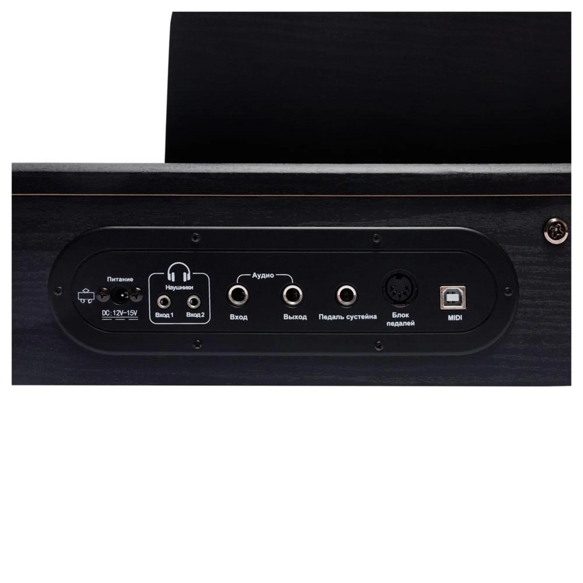Цифровое пианино Rockdale Keys RDP-1088 (7 / 8)