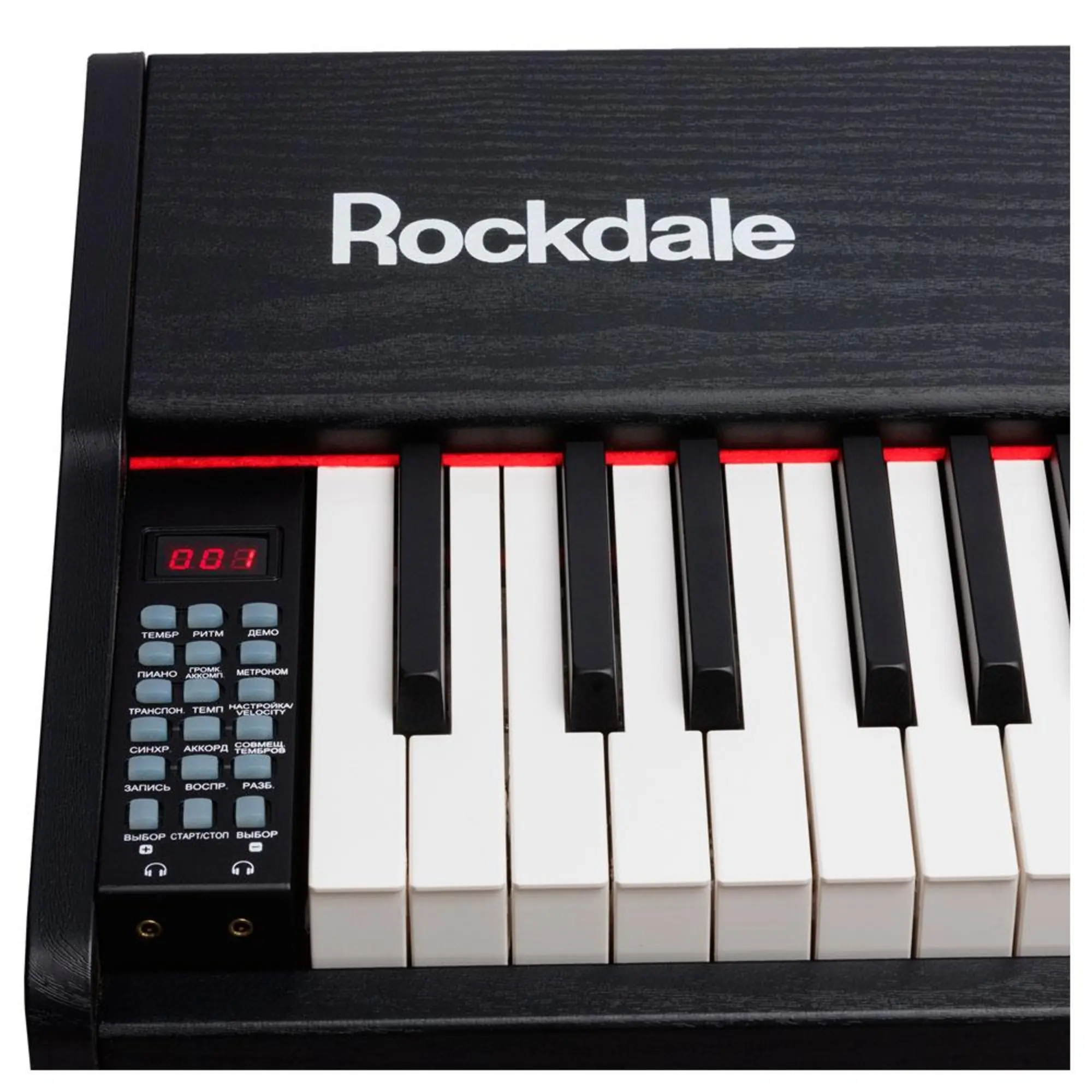 Цифровое пианино Rockdale Keys RDP-3088 (5 / 8)