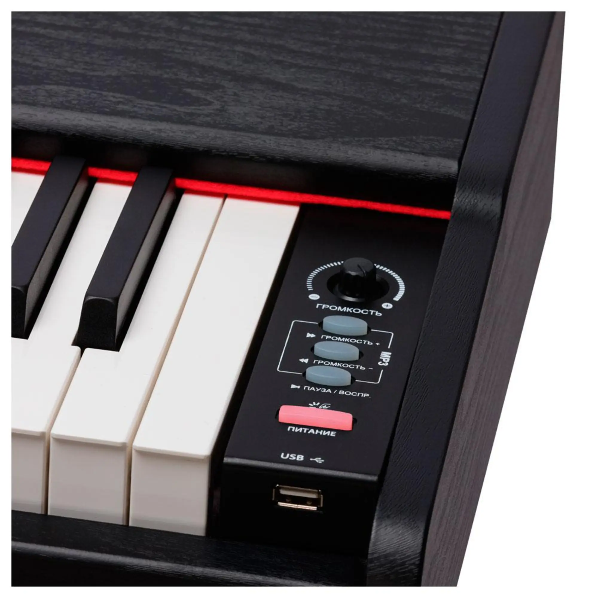 Цифровое пианино Rockdale Keys RDP-3088 (6 / 8)