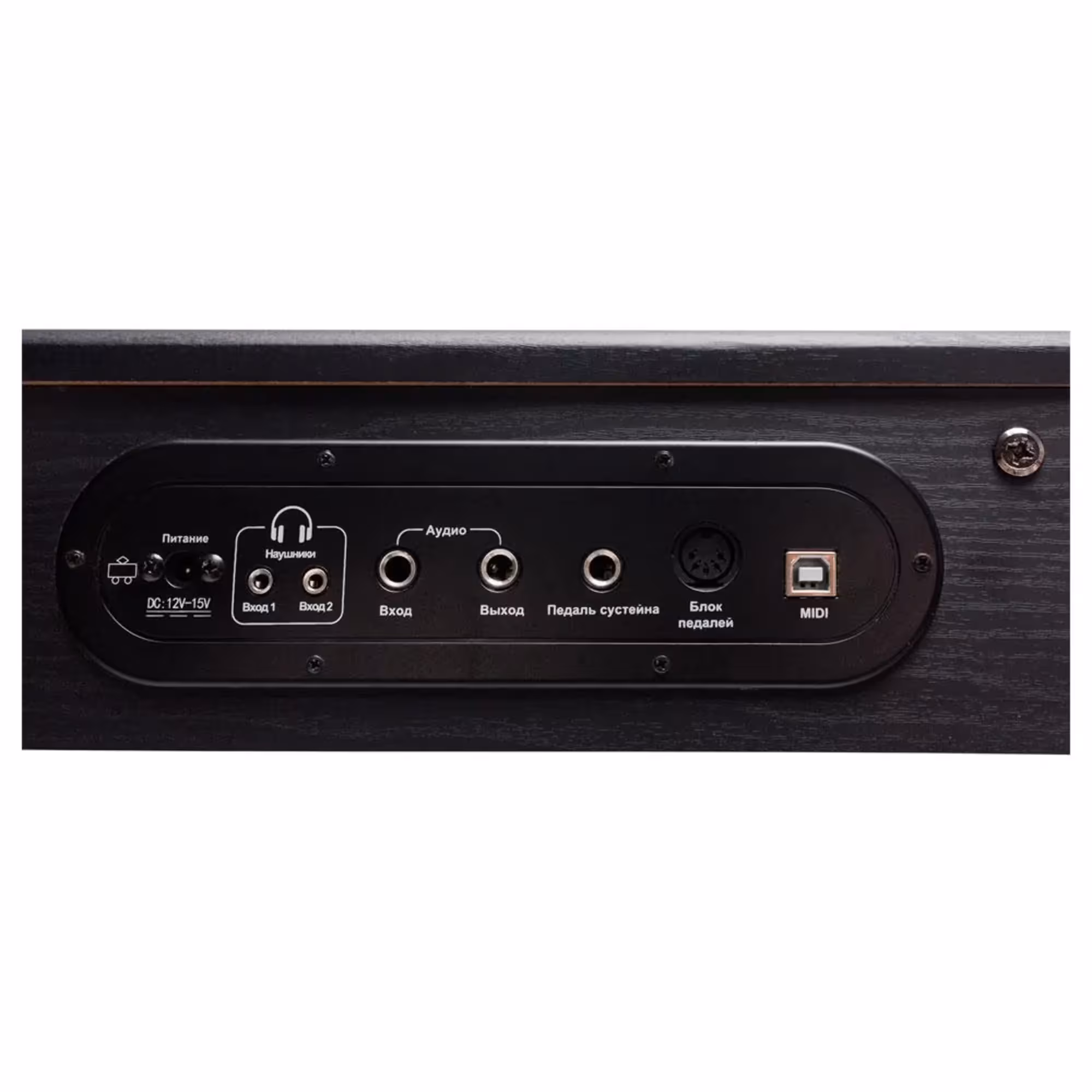Цифровое пианино Rockdale Keys RDP-3088 (7 / 8)
