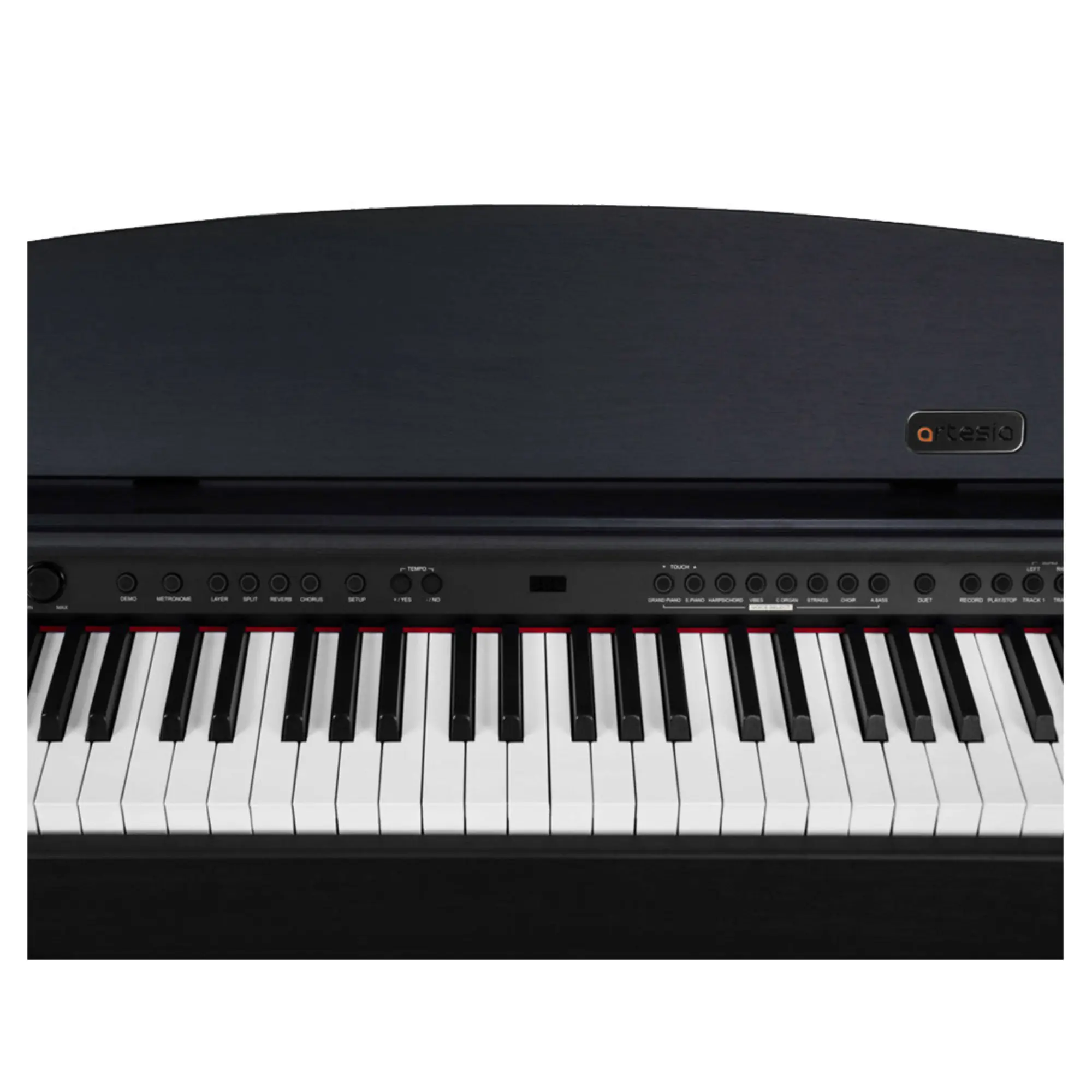 Цифровое пианино Artesia DP-2+ PVC RSW (4 / 4)