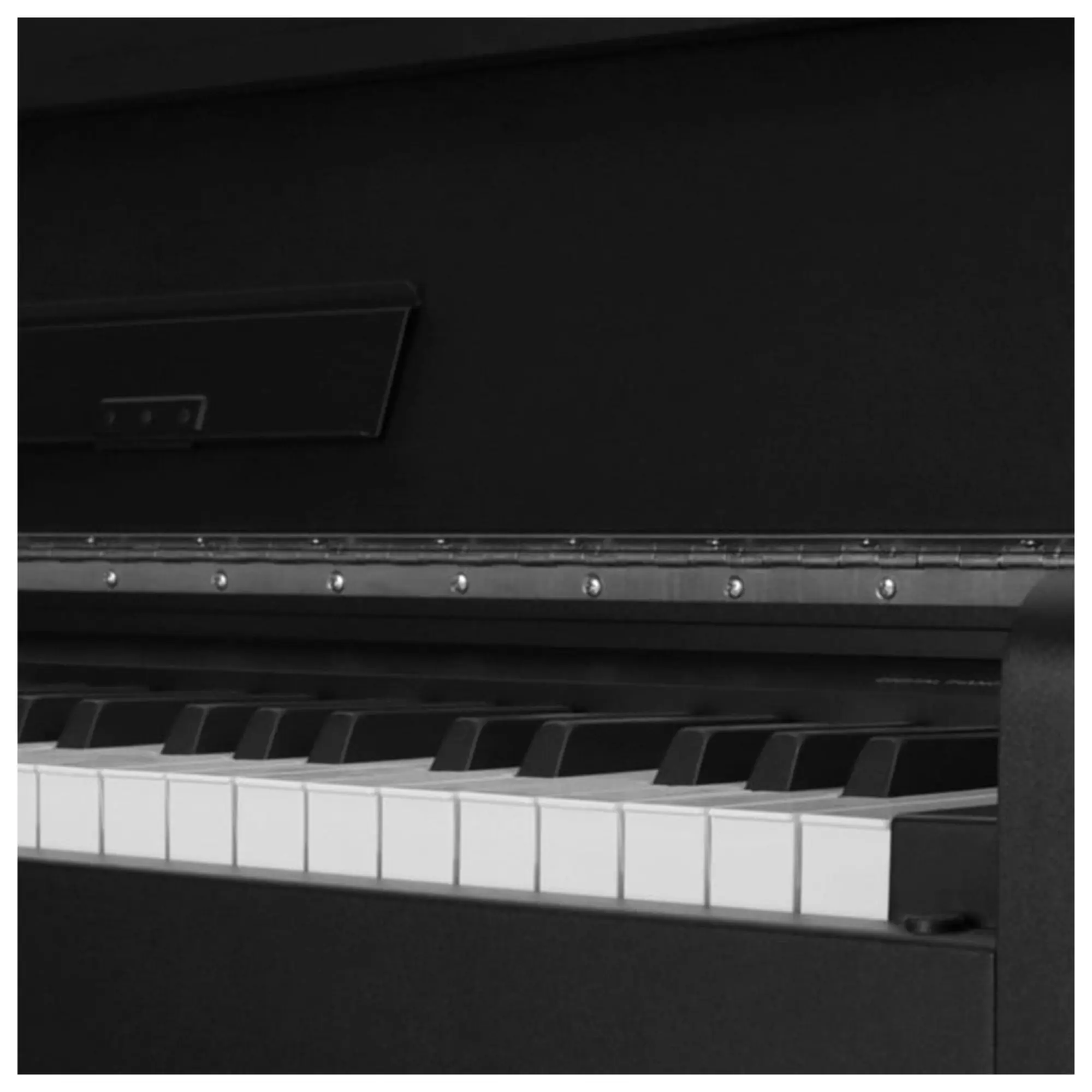 Цифровое пианино Nux WK-310 Black (3 / 3)