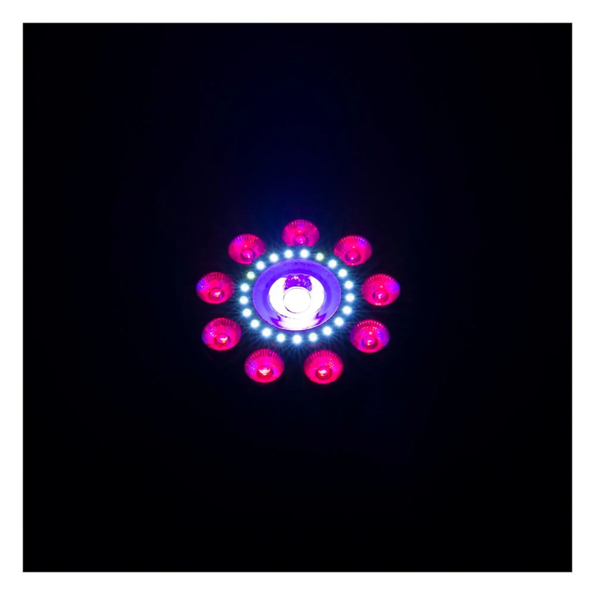 Световой прибор CHAUVET-DJ FX Par 9 (5 / 5)