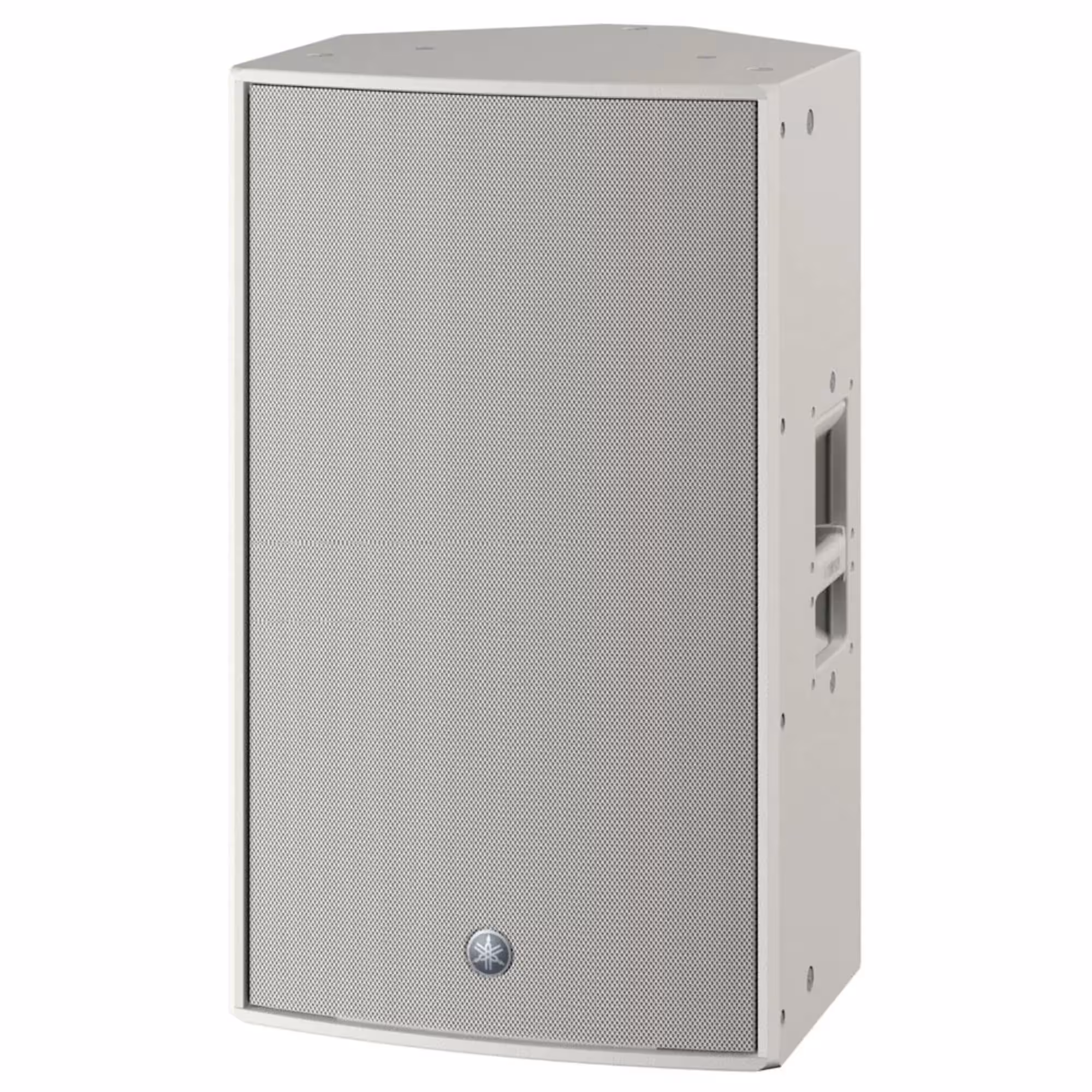 Активная акустическая система Yamaha DZR15W (1 / 2)