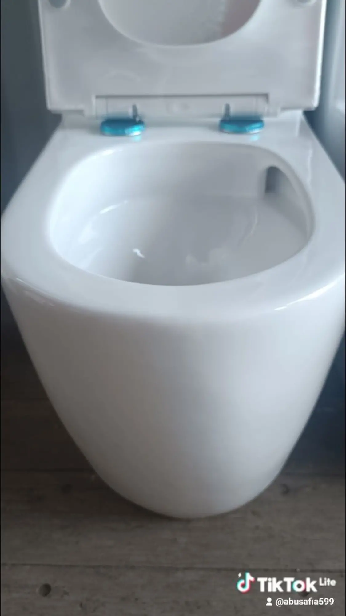 Унитаз моноблок торнадо (4 / 4)