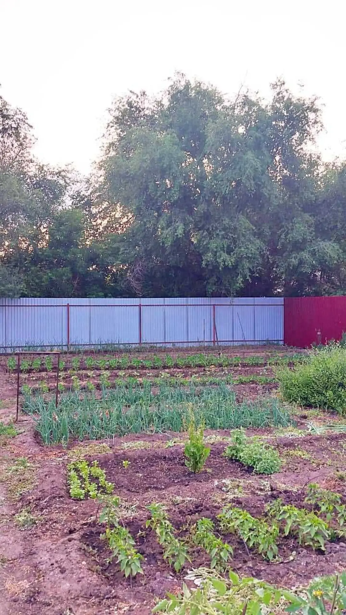 Предлагаем 4-ком дом в п.Долинка (4 / 8)