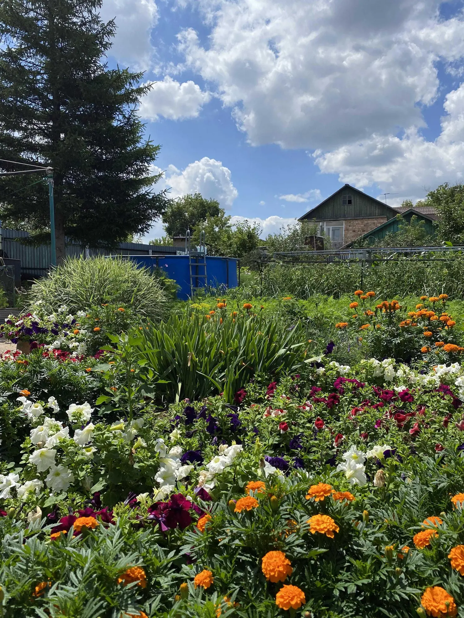 5 ком дом в р-не Жаровни. Все коммуникации центральные. Дом кирпичный (10 / 20)