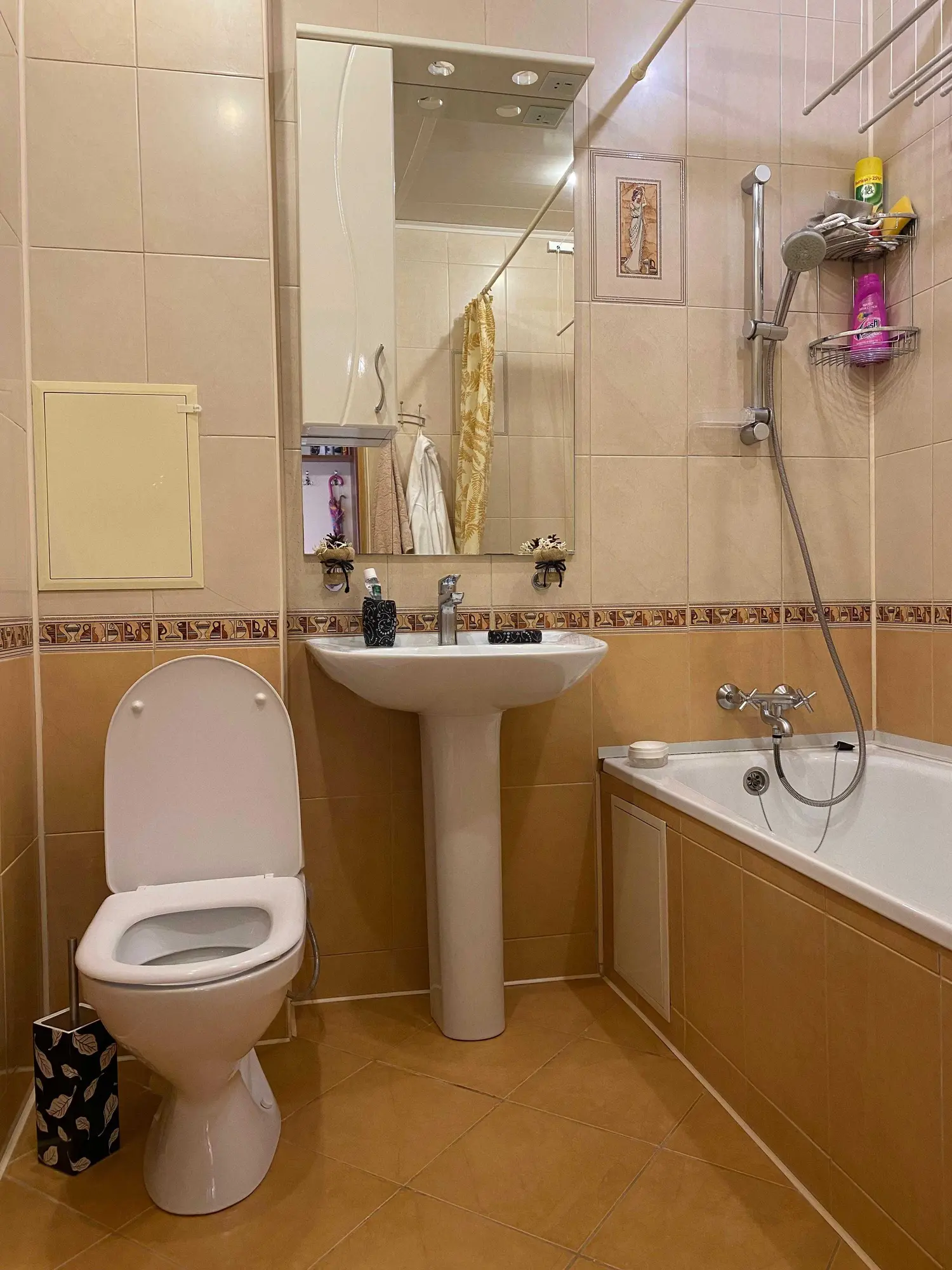 Продается одна комнатная квартира (Баймуханов 45А) (14 / 19)