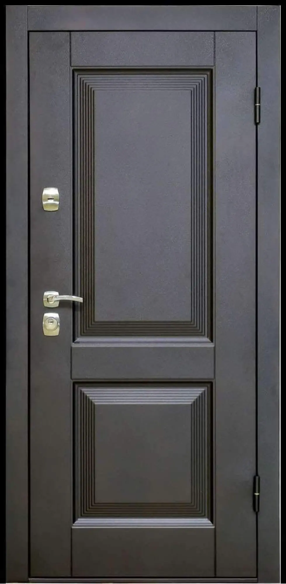 Металлическая дверь | стальная | железная | входная (1 / 5)