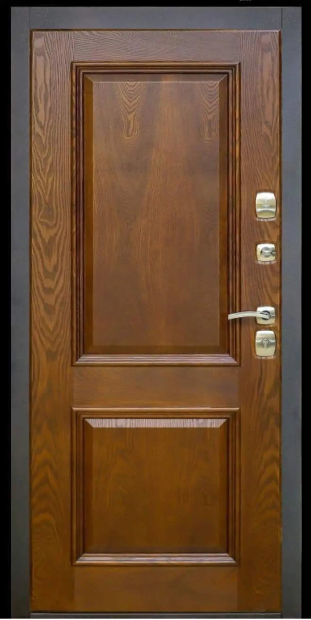 Металлическая дверь | стальная | железная | входная (2 / 5)