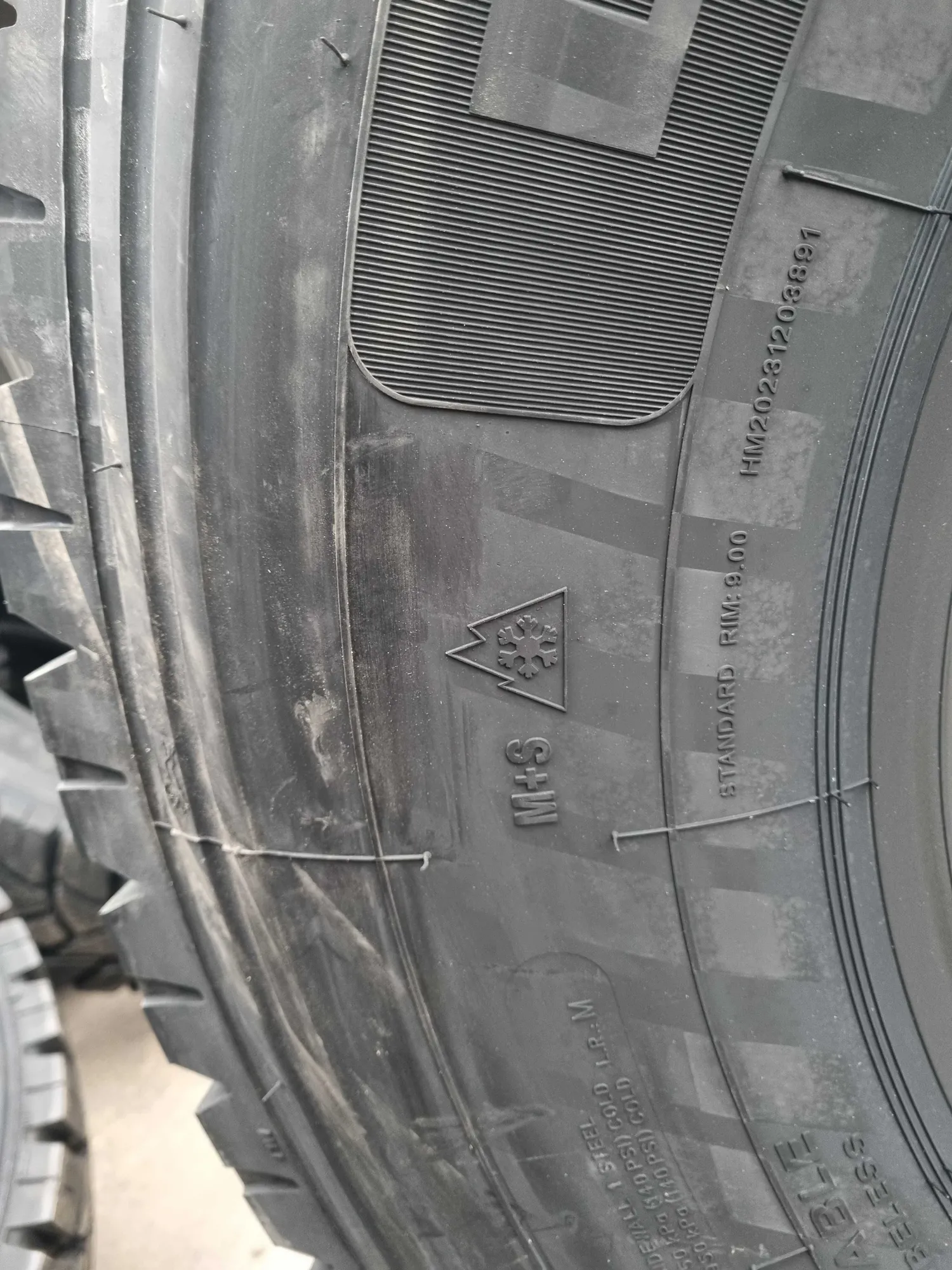 315/80 R22.5 -22 PR BLACKLION (қара арыстан, черный лев) BD210 (6 / 8)