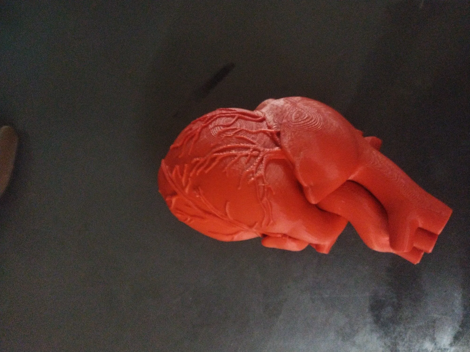 Сердце из пластика напечатаное на 3д приниере (2 / 5)