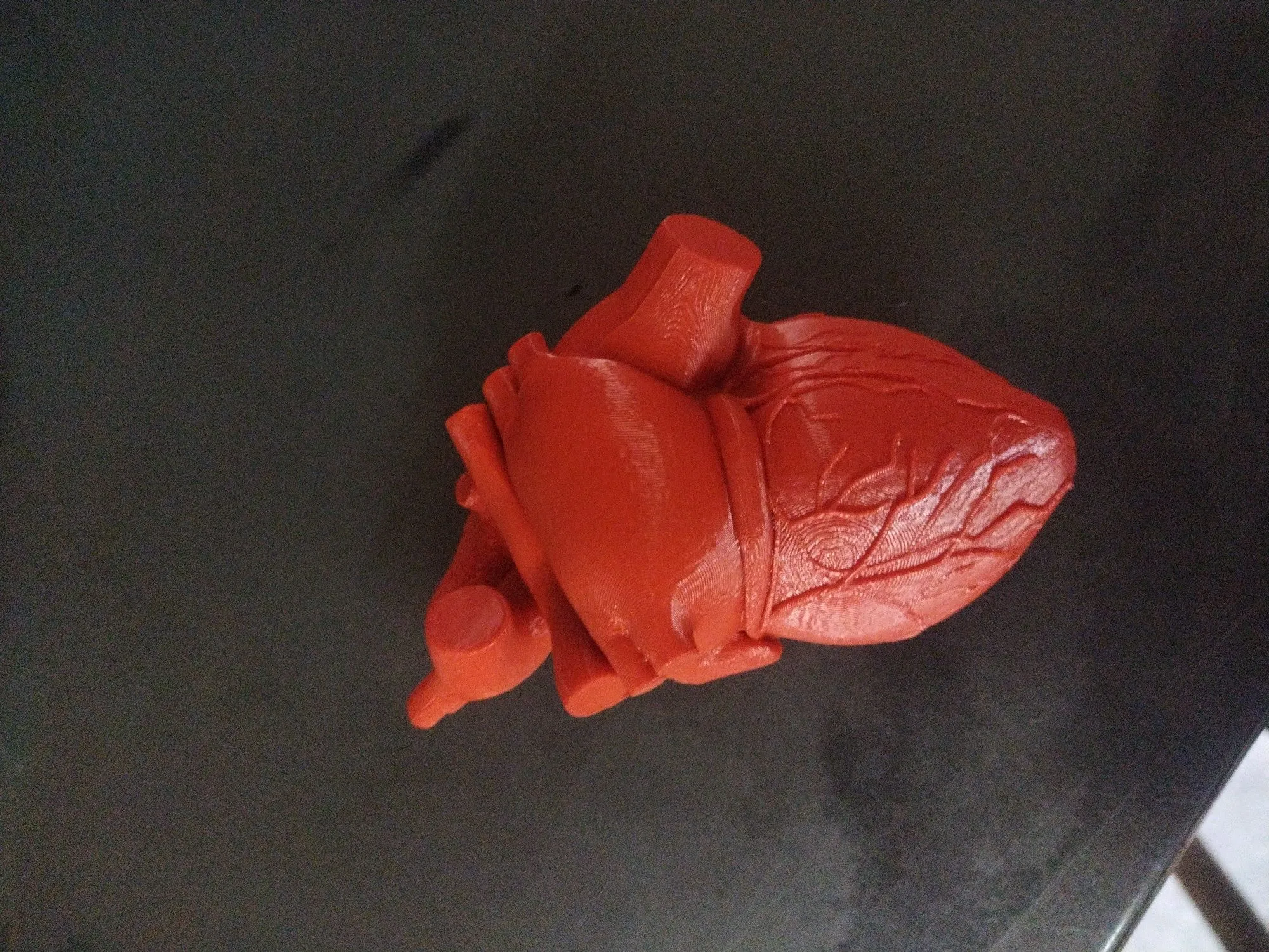 Сердце из пластика напечатаное на 3д приниере (4 / 5)